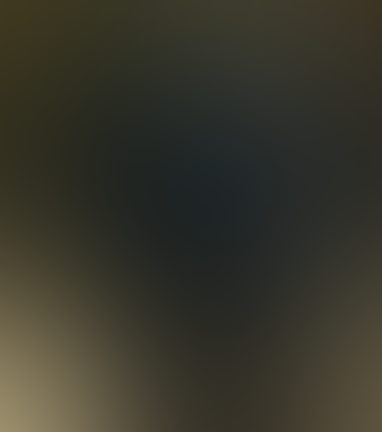 Eingereichtes Pelzstück – Beispiel 259 Bild 3