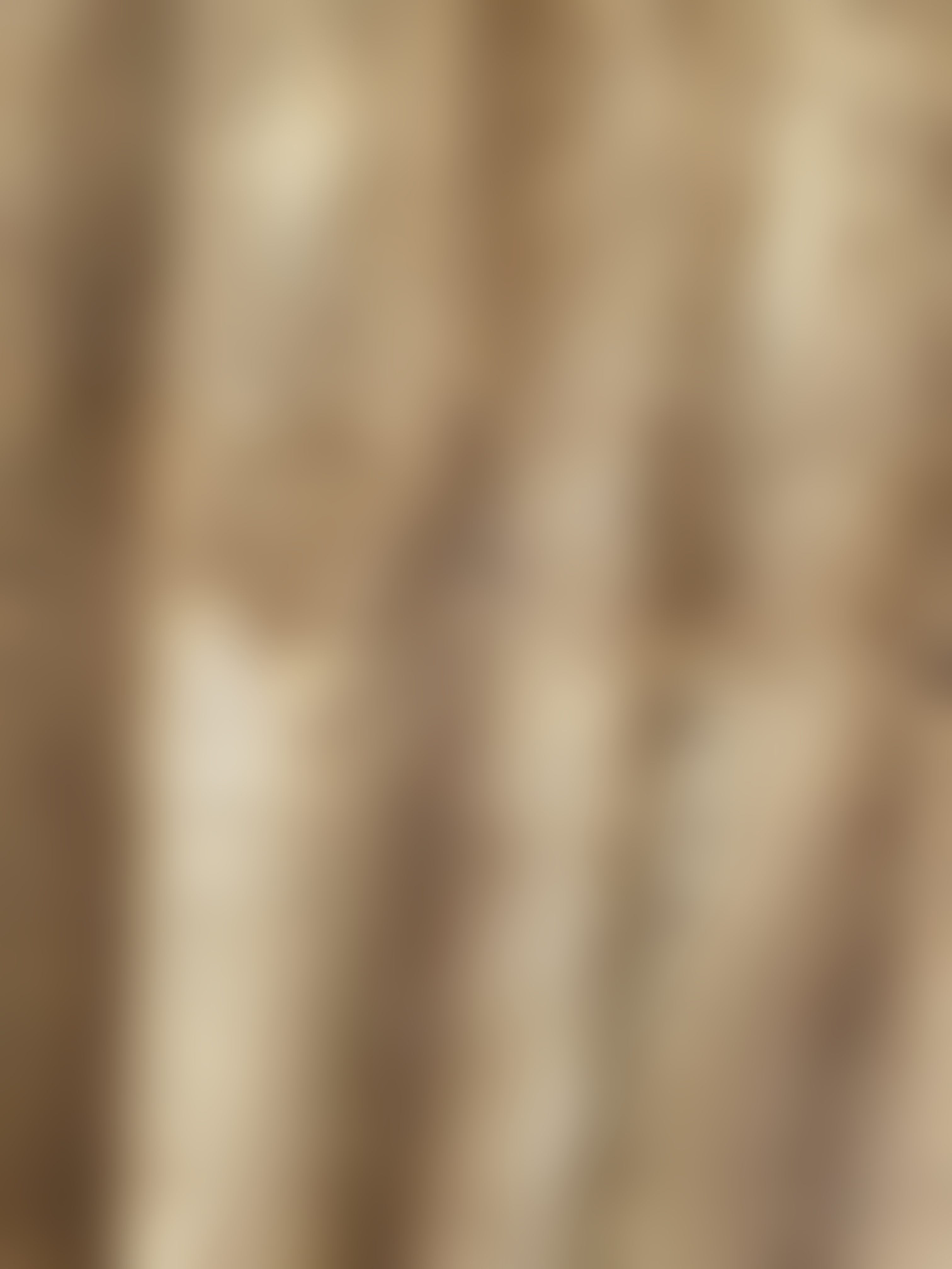 Eingereichtes Pelzstück – Beispiel 234 Bild 9