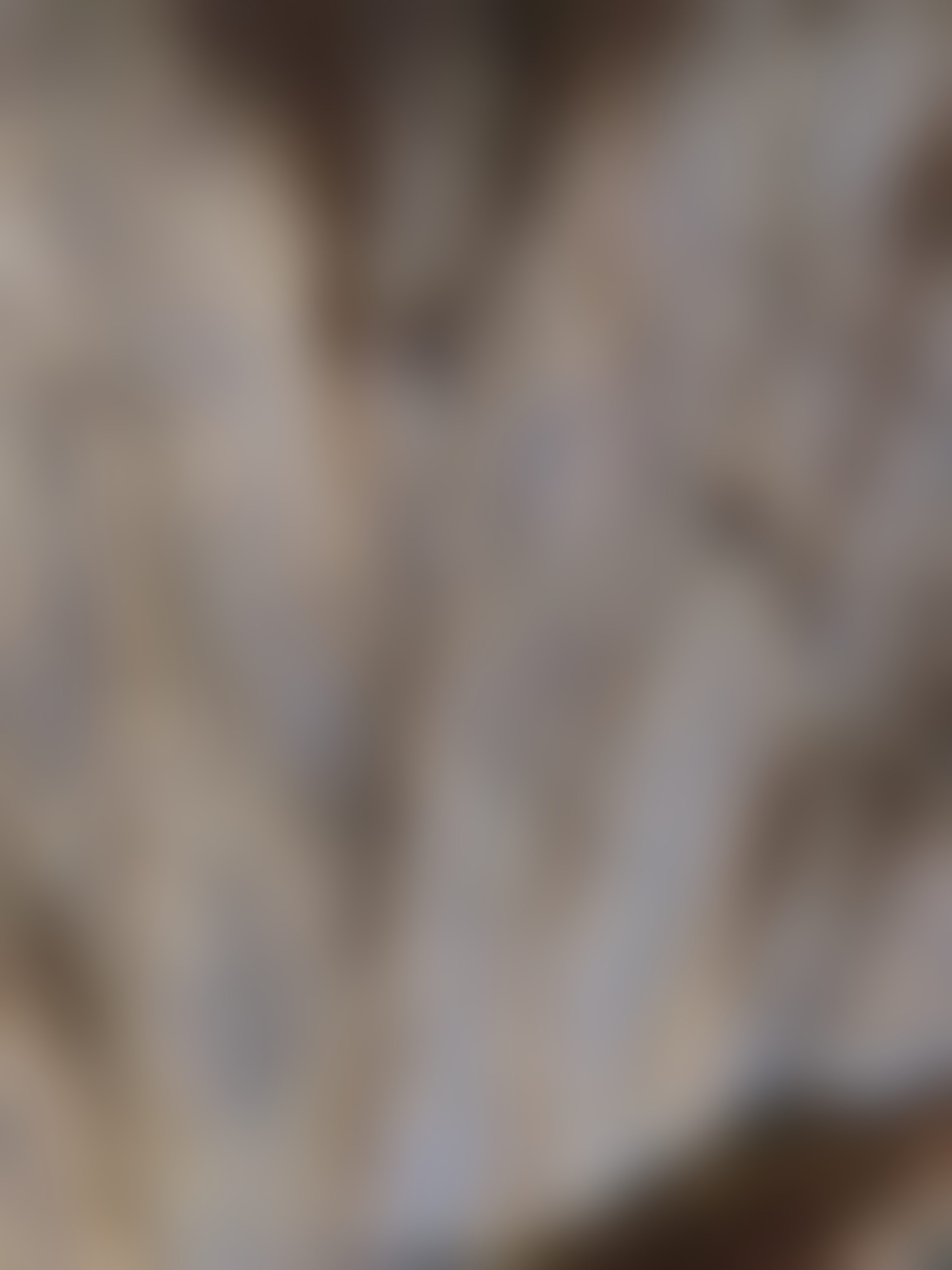 Eingereichtes Pelzstück – Beispiel 36.3 Bild 3