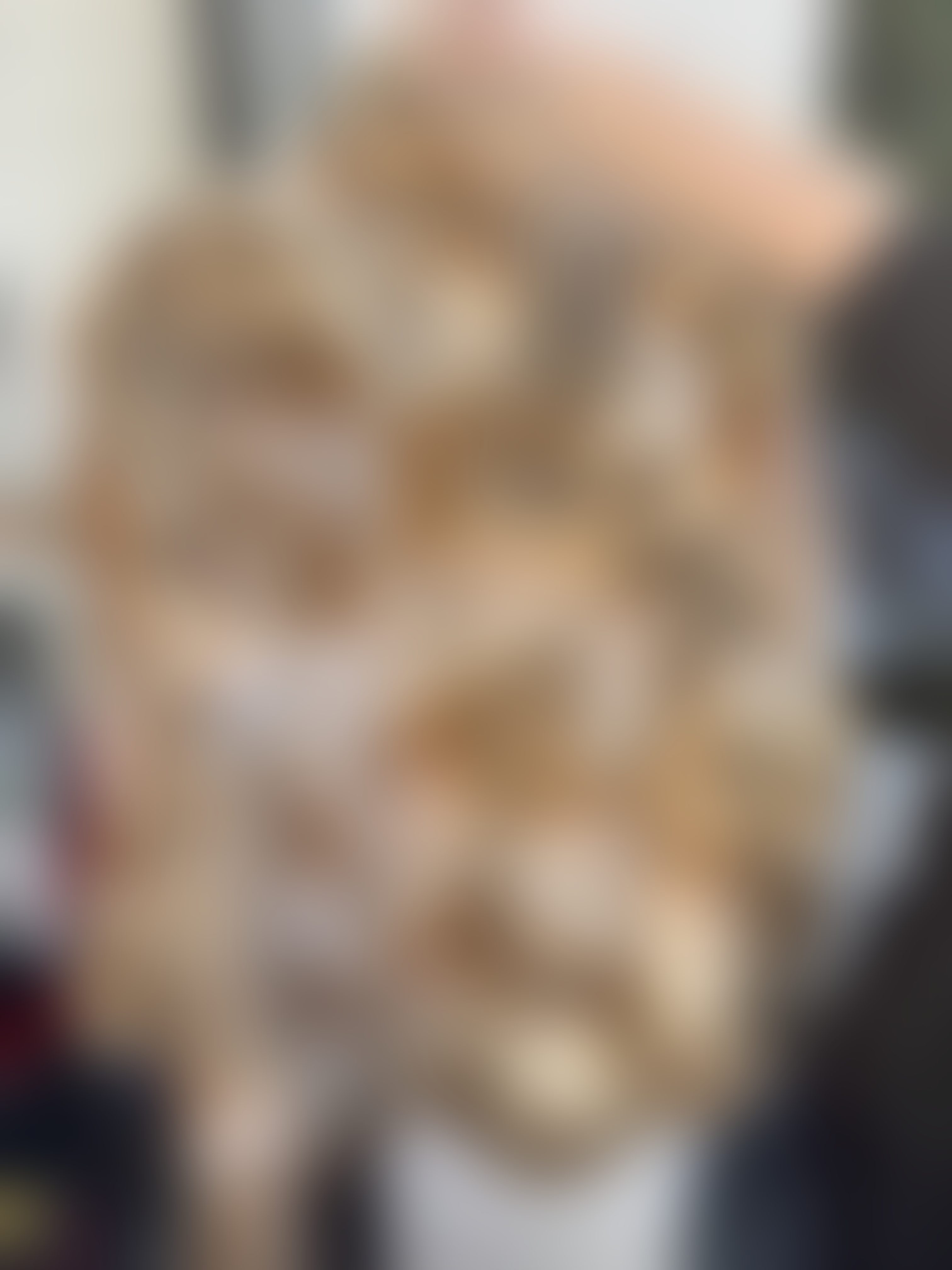 Eingereichtes Pelzstück – Beispiel 4 Bild 4