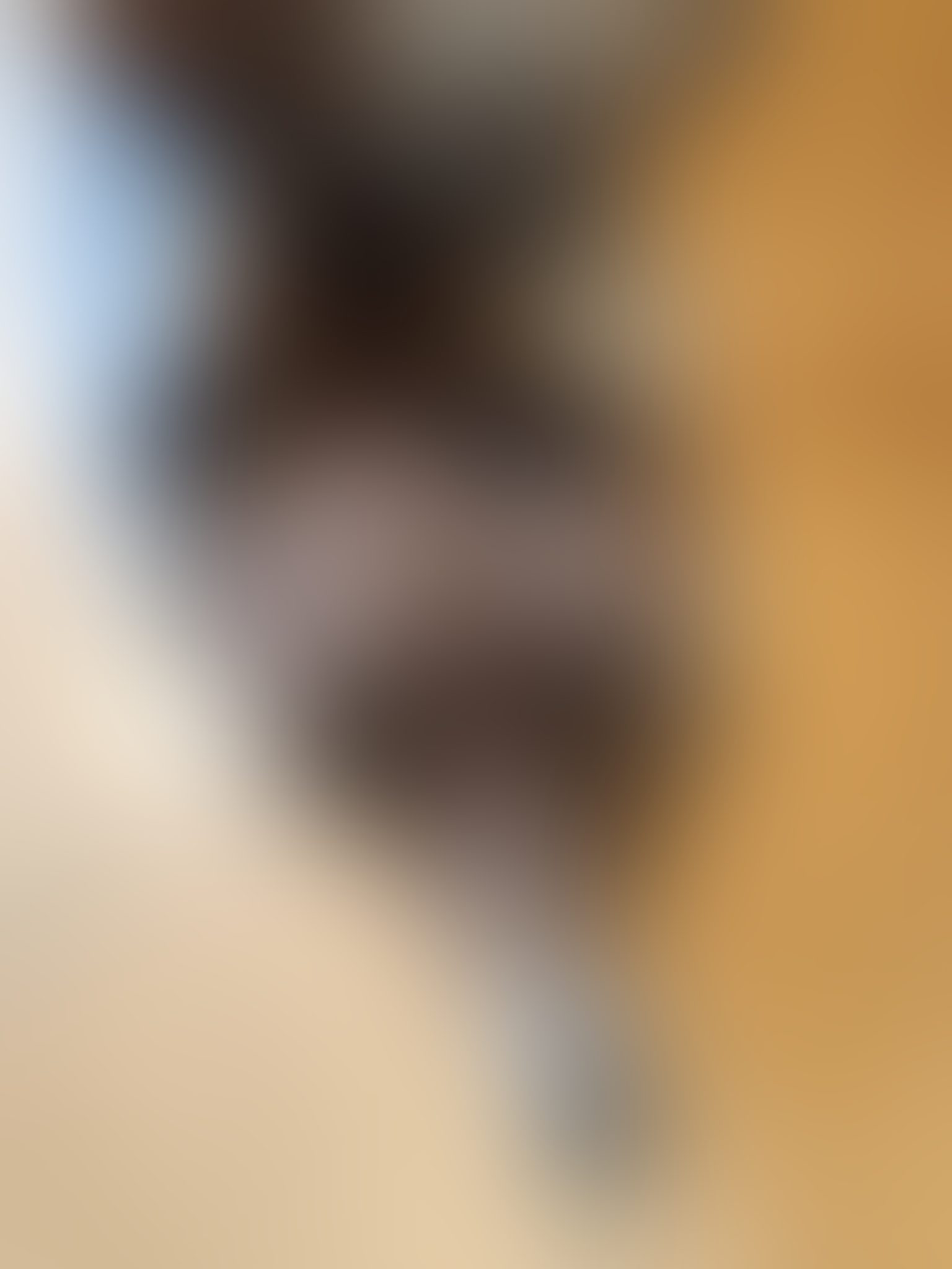 Eingereichtes Pelzstück – Beispiel 37 Bild 1