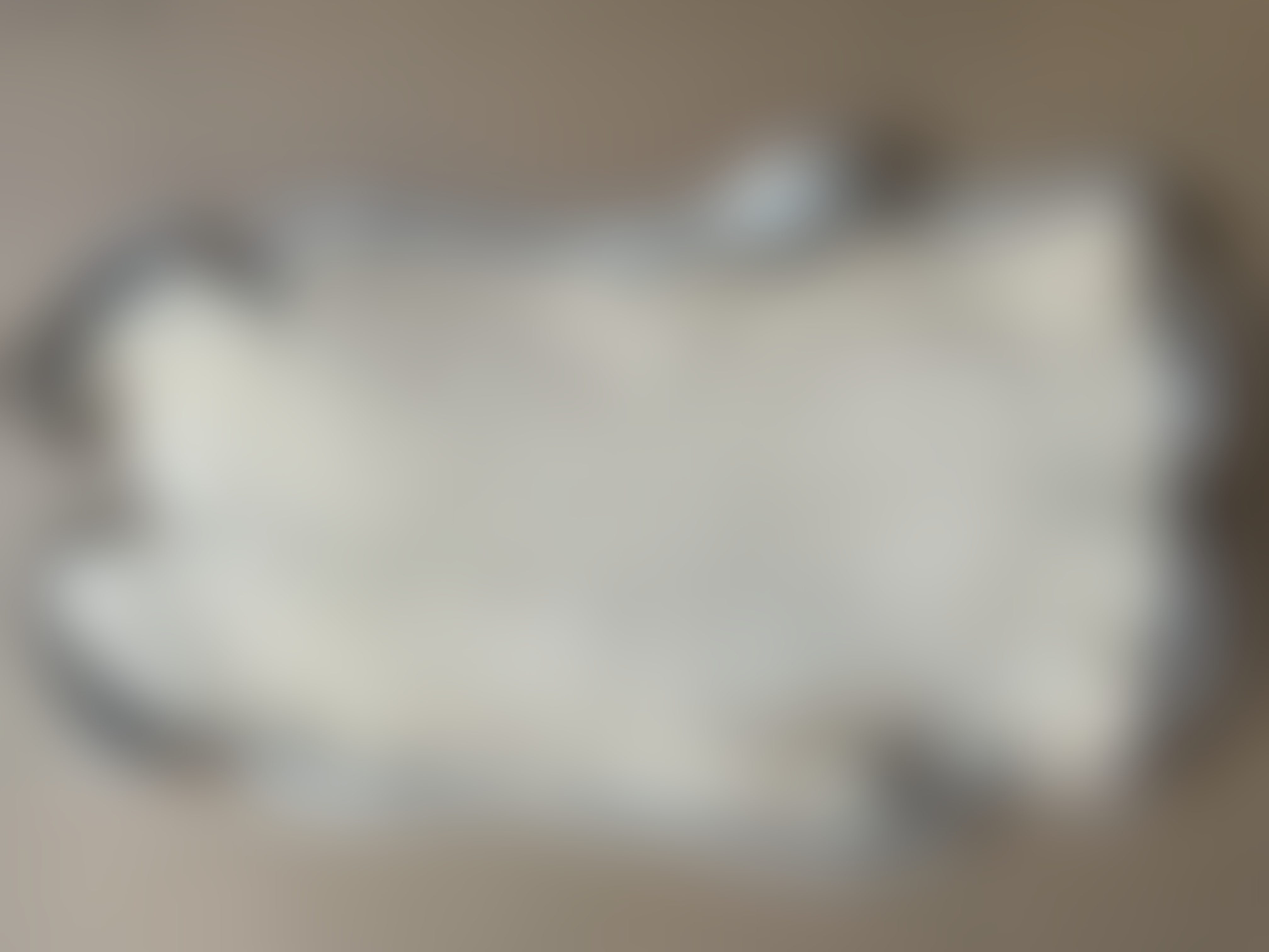 Eingereichtes Pelzstück – Beispiel 132.9 Bild 2
