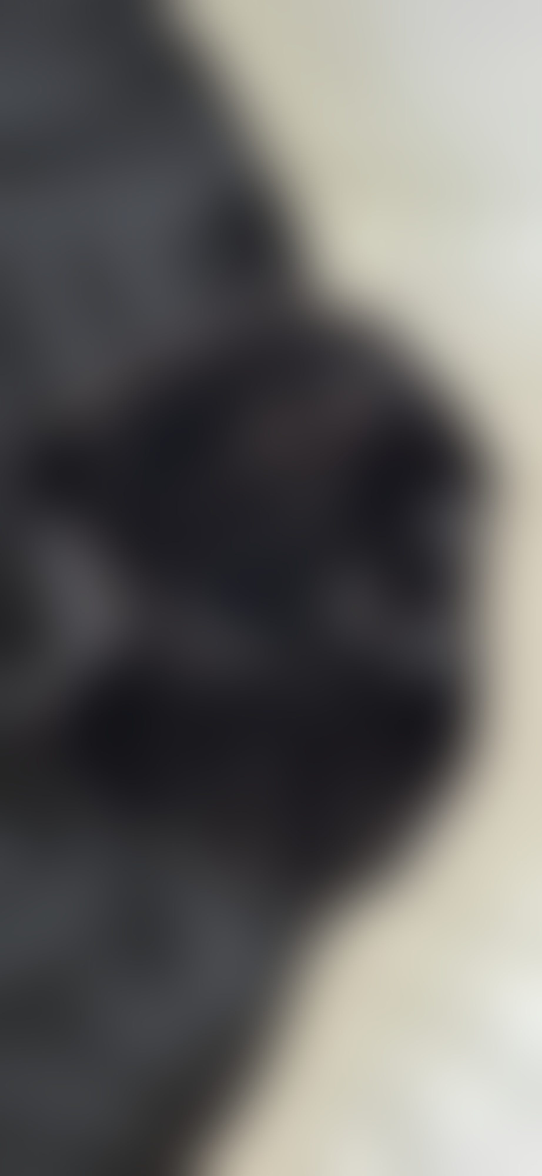 Eingereichtes Pelzstück – Beispiel 1 Bild 6