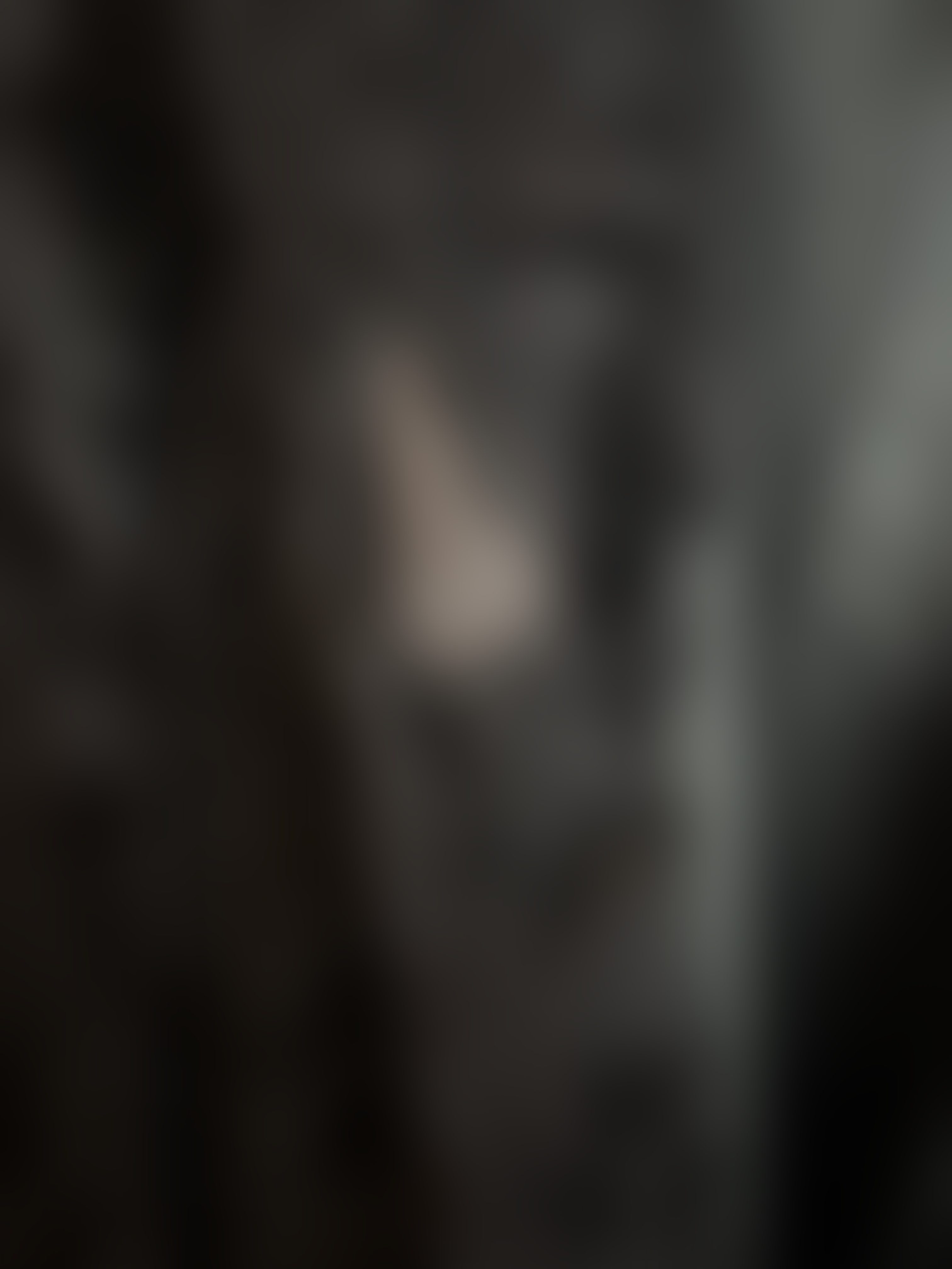 Eingereichtes Pelzstück – Beispiel 21.2 Bild 2