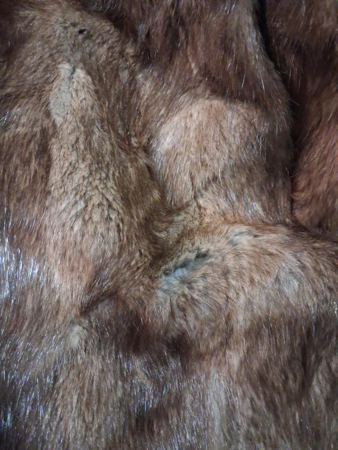 Eingereichtes Pelzstück – Beispiel 239 Bild 4