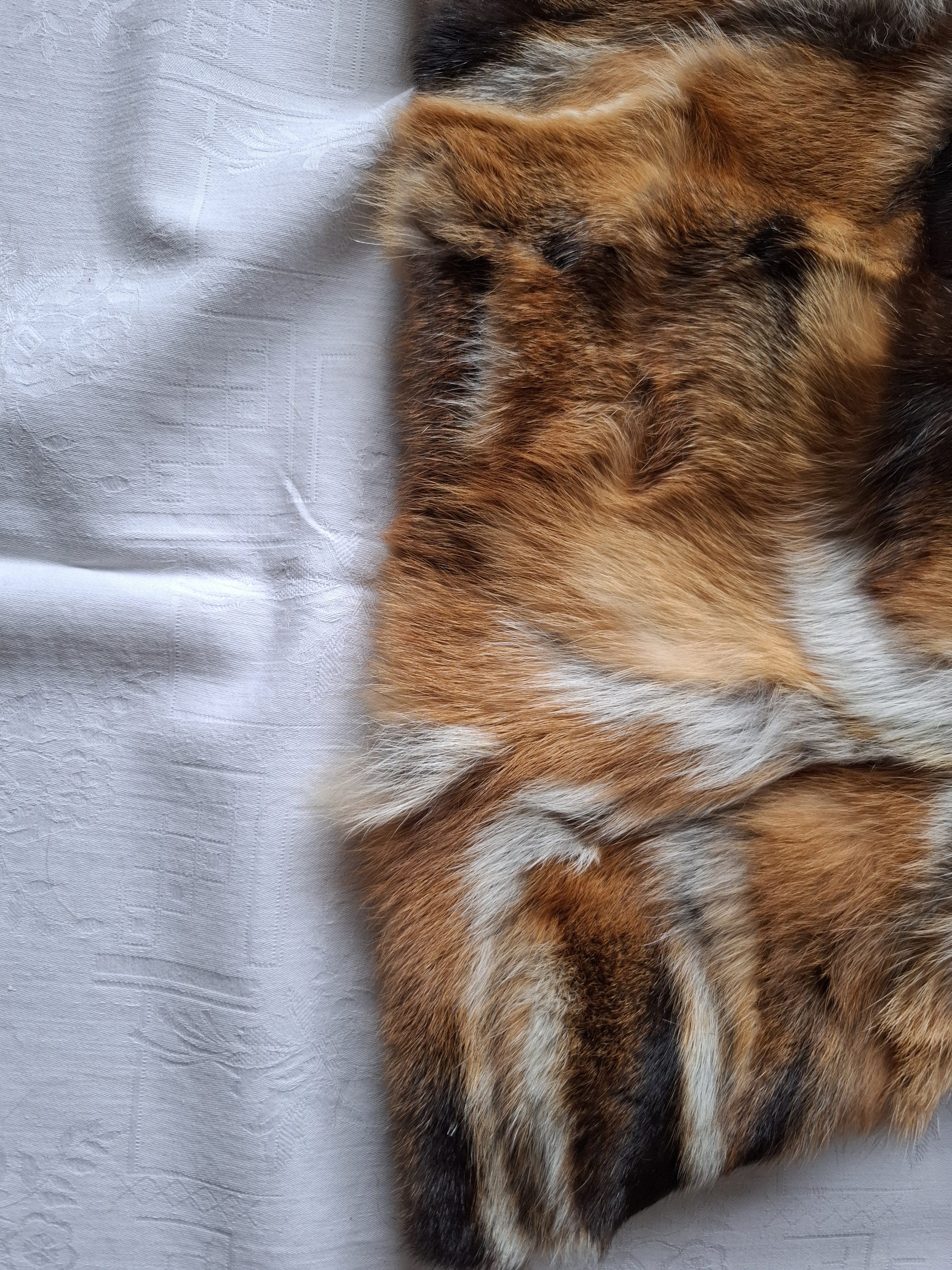 Eingereichtes Pelzstück – Beispiel 47.5 Bild 10