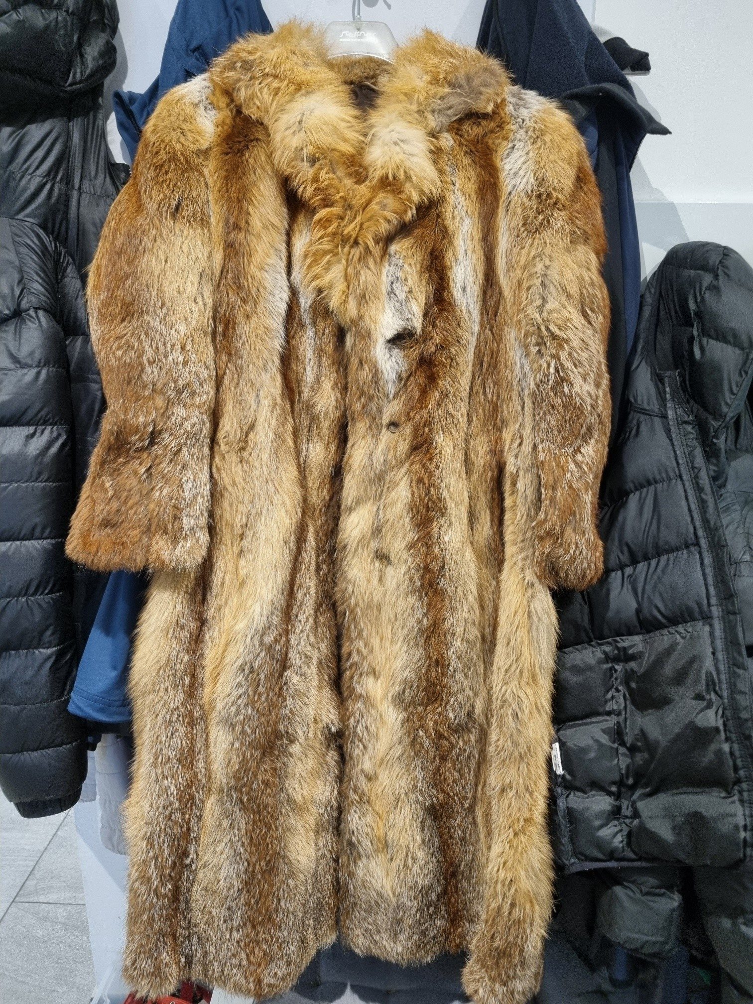 Eingereichtes Pelzstück – Beispiel 39 Bild 3