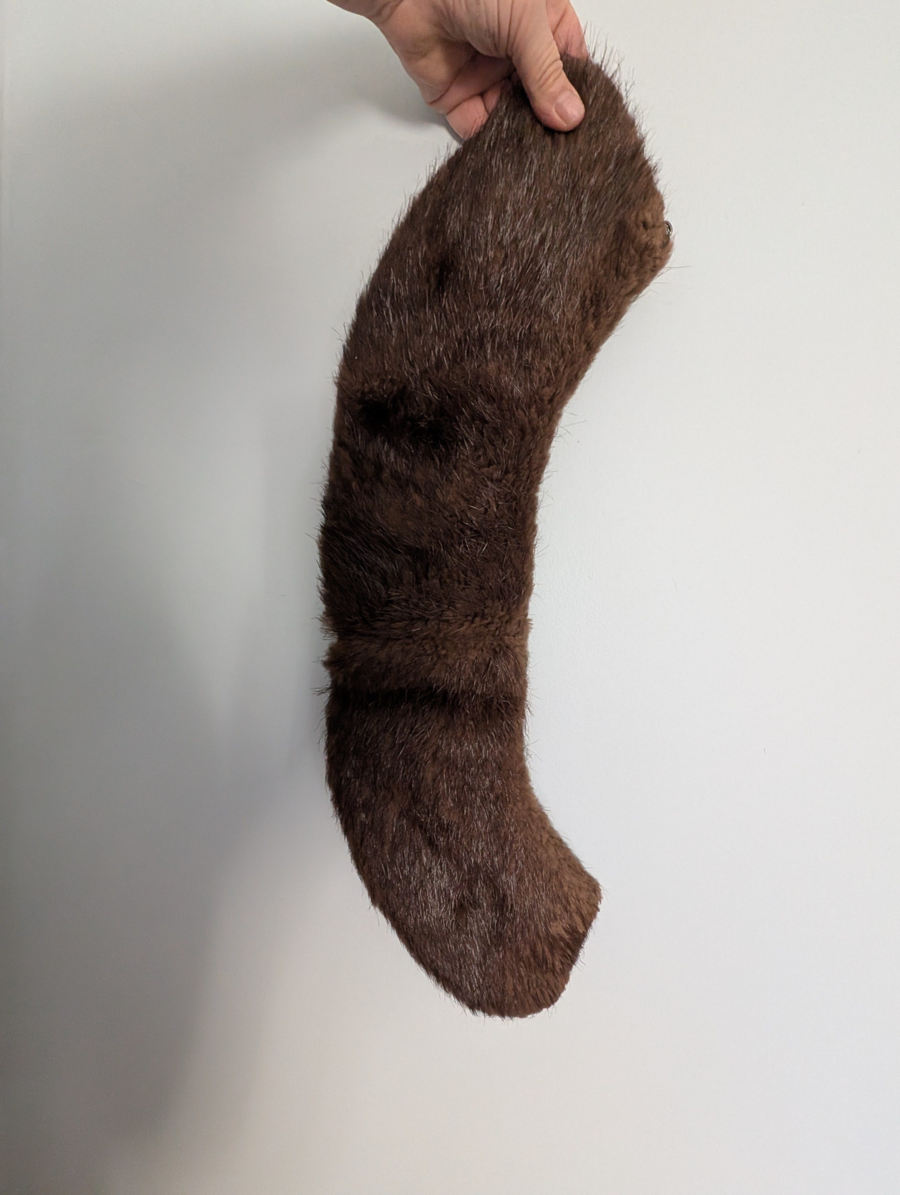 Eingereichtes Pelzstück – Beispiel 16 Bild 1