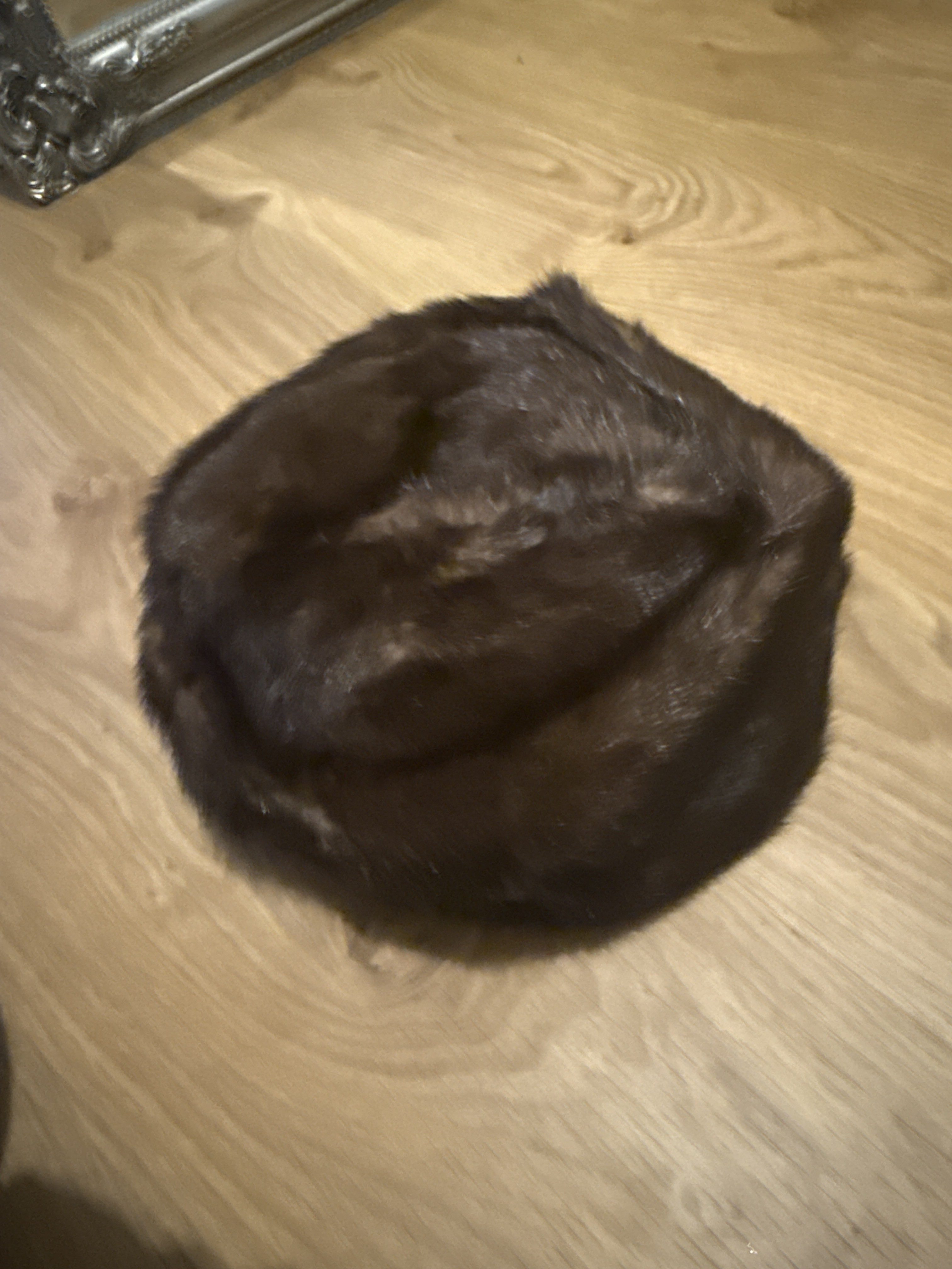 Eingereichtes Pelzstück – Beispiel 40.1 Bild 2