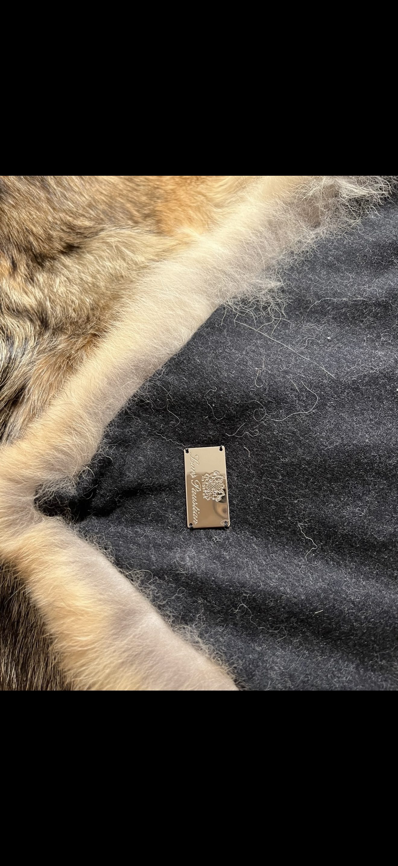 Eingereichtes Pelzstück – Beispiel 127 Bild 3