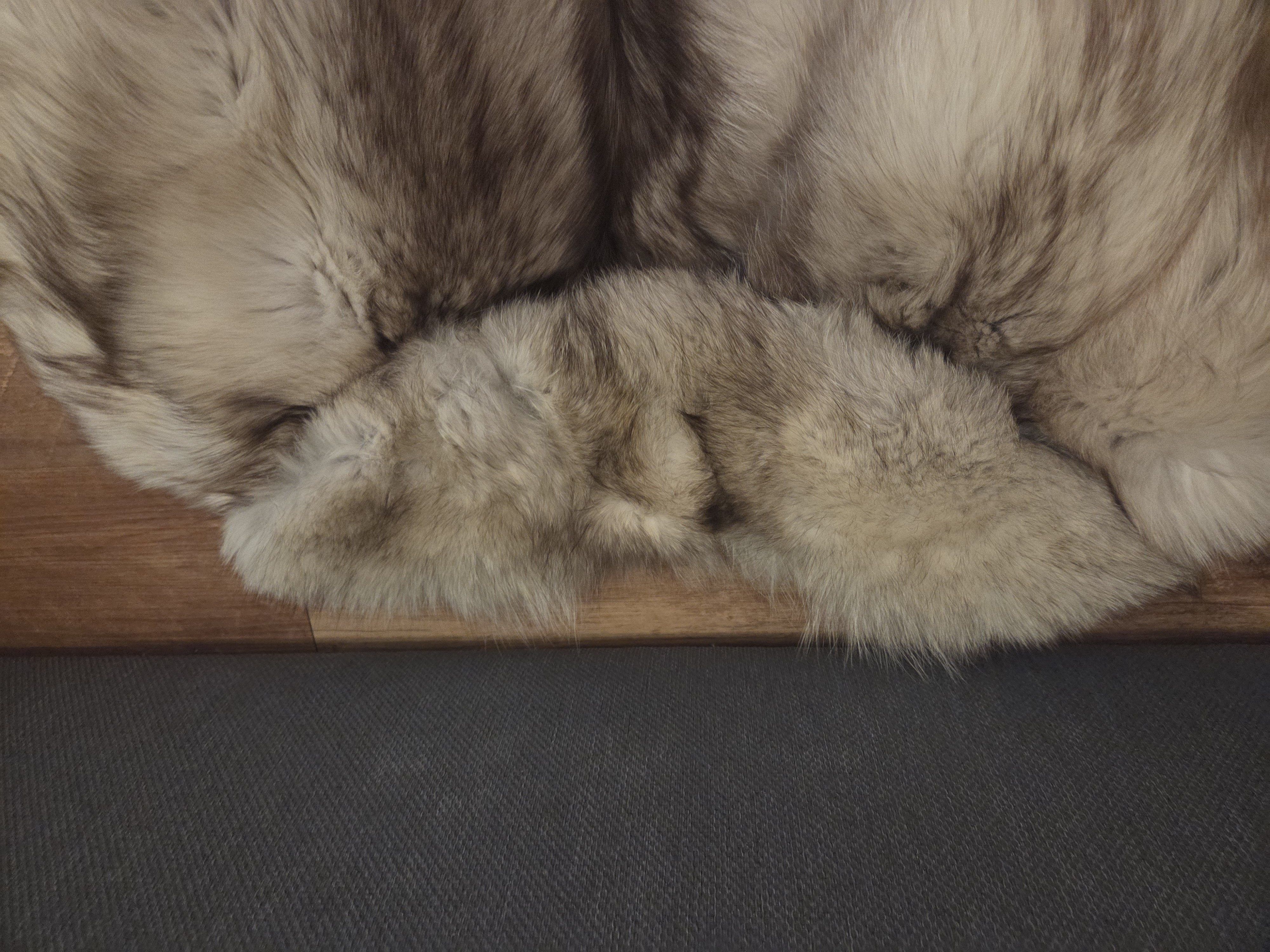 Eingereichtes Pelzstück – Beispiel 1 Bild 2