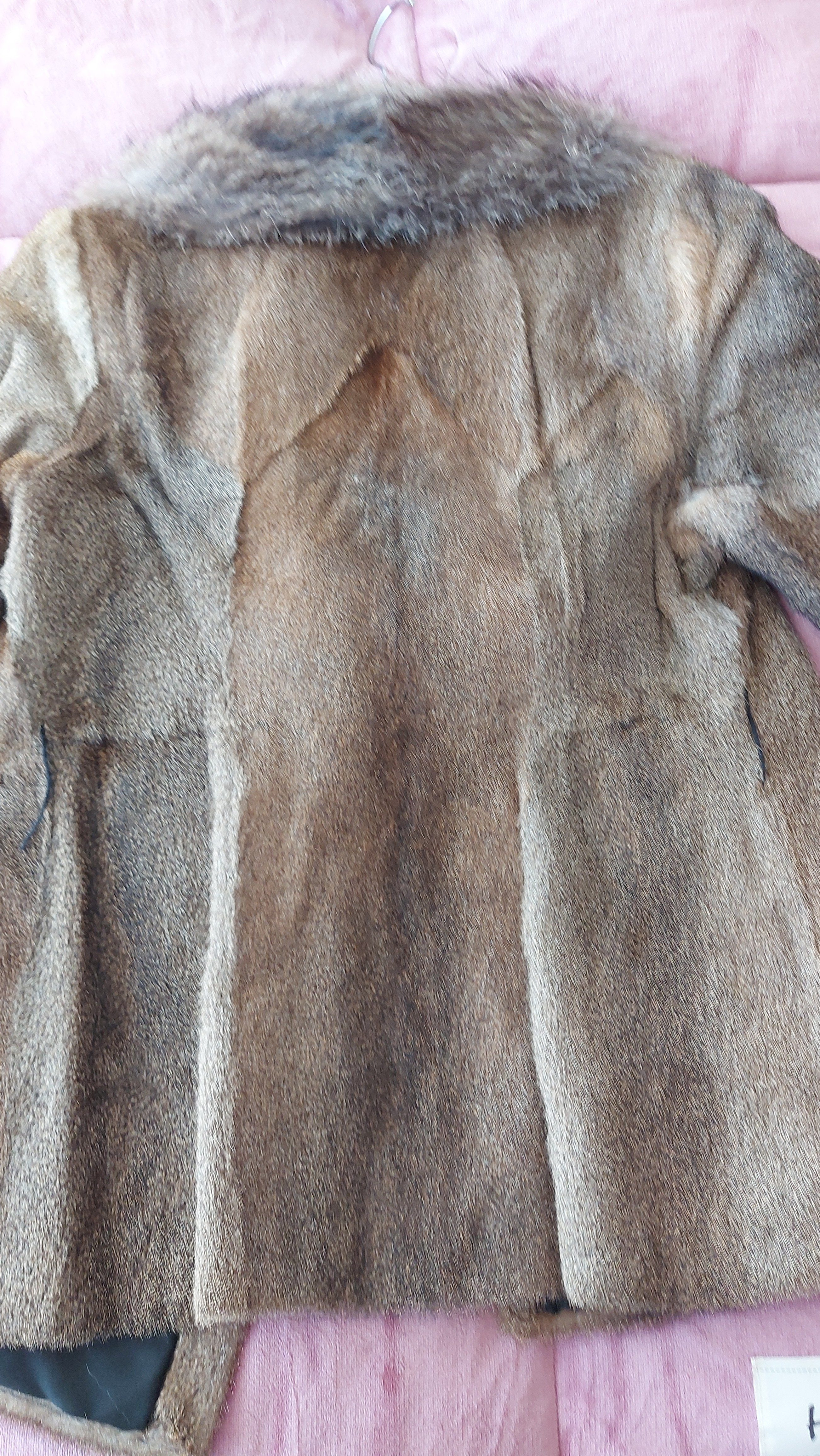 Eingereichtes Pelzstück – Beispiel 1 Bild 4
