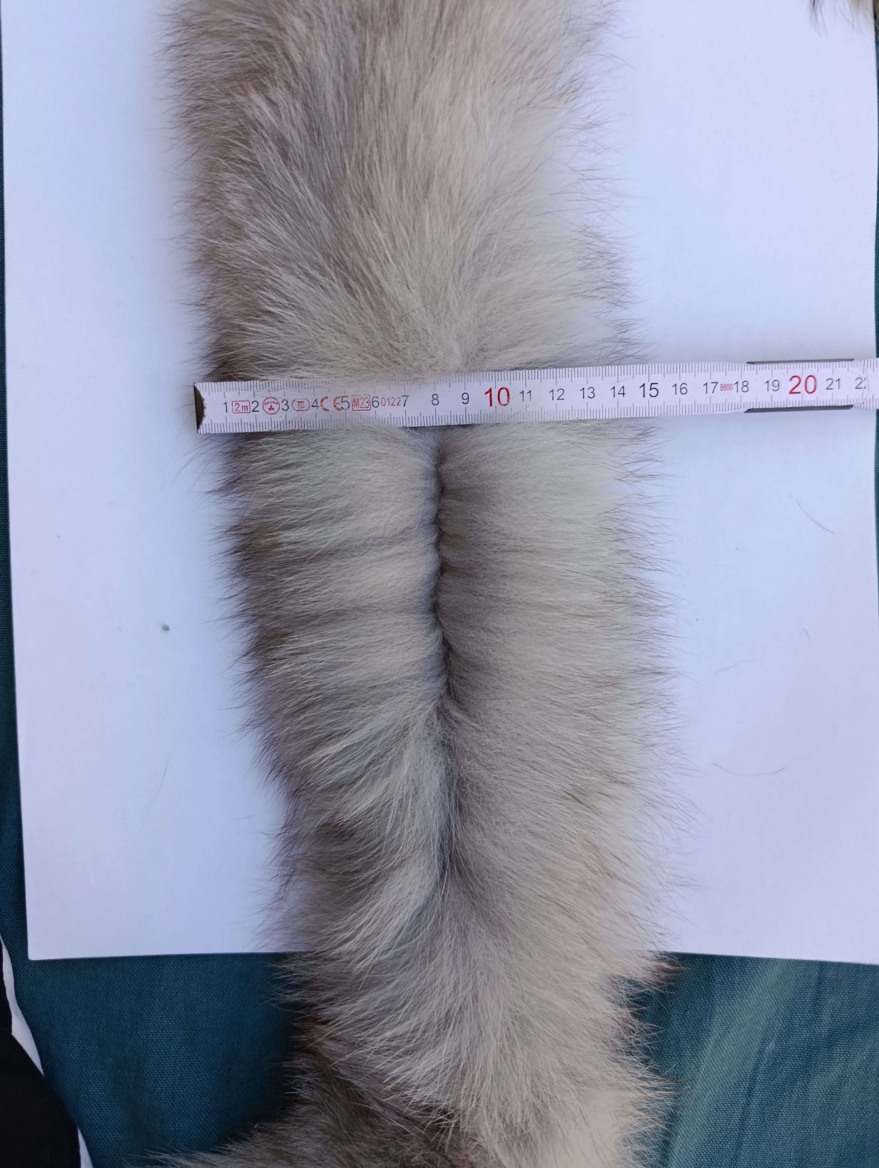 Eingereichtes Pelzstück – Beispiel 169.3 Bild 4