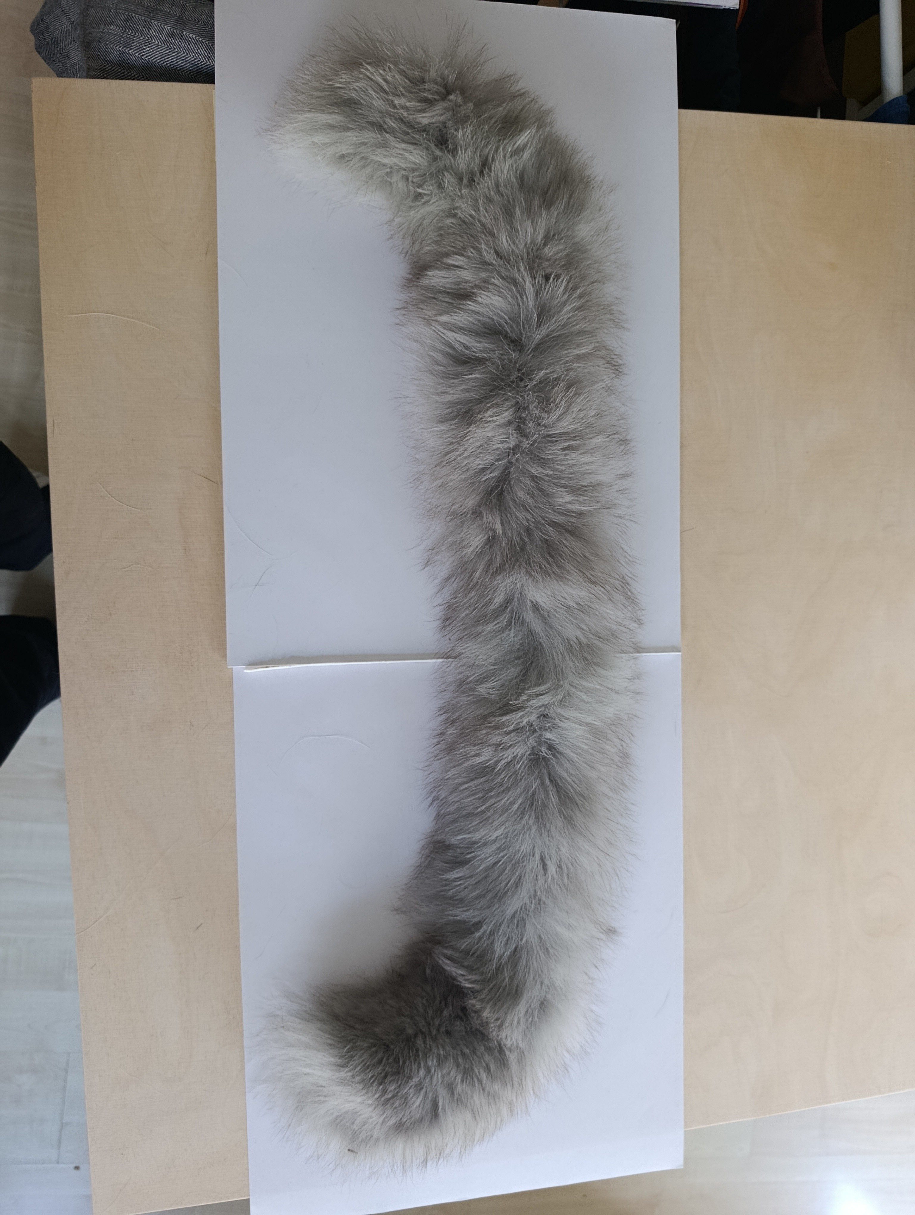 Eingereichtes Pelzstück – Beispiel 169.3 Bild 2