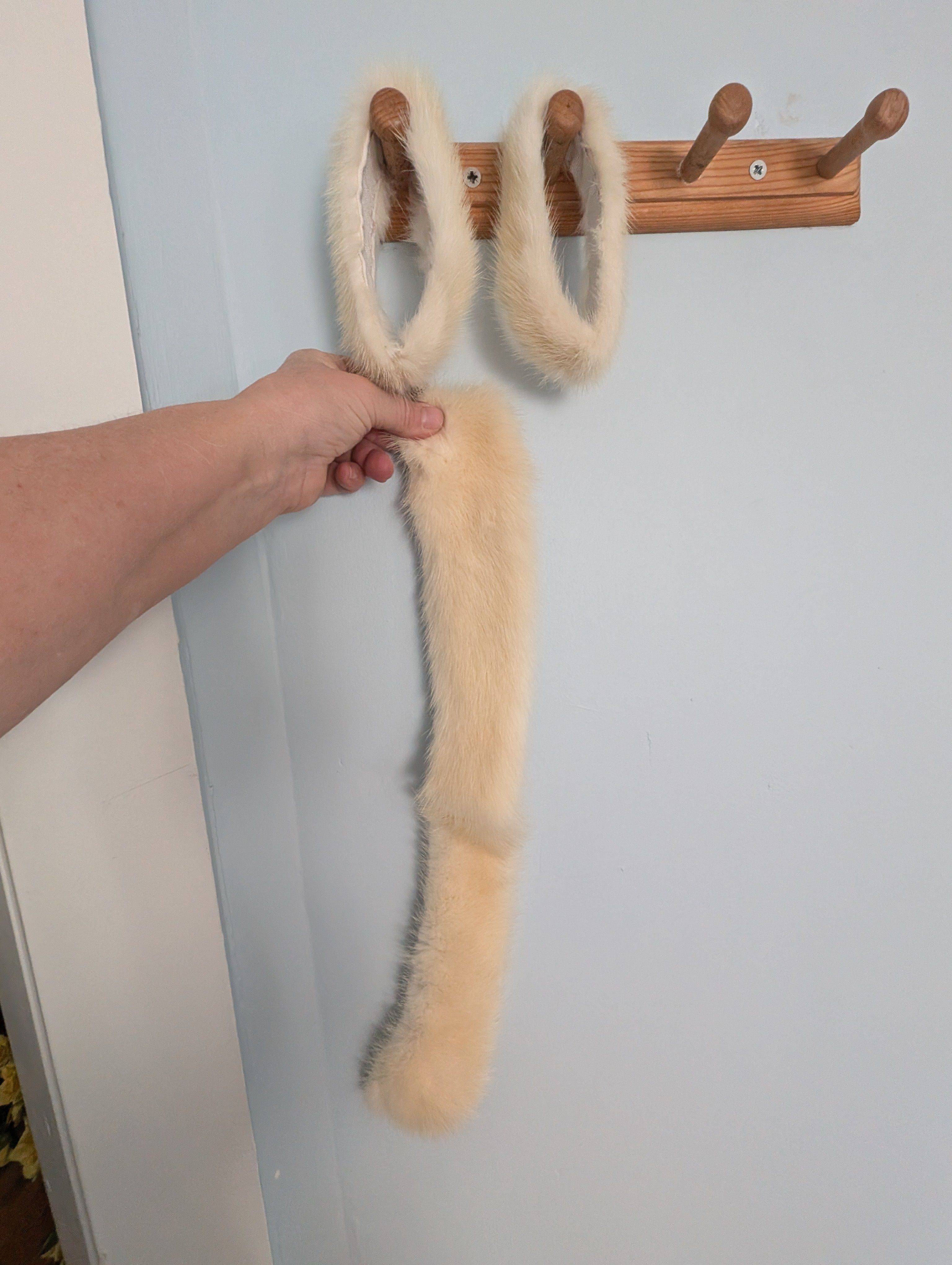 Eingereichtes Pelzstück – Beispiel 13 Bild 1