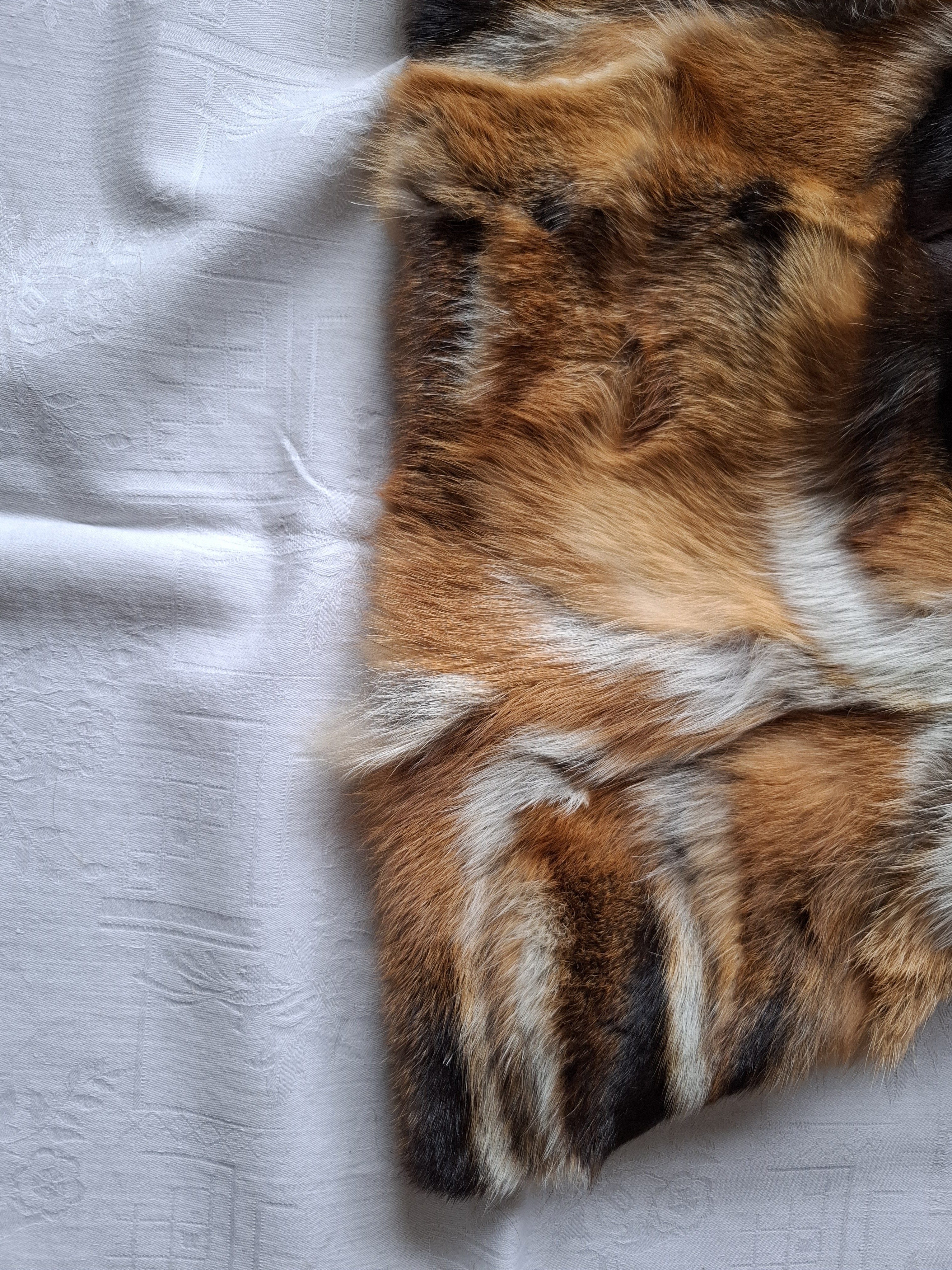 Eingereichtes Pelzstück – Beispiel 47.5 Bild 9