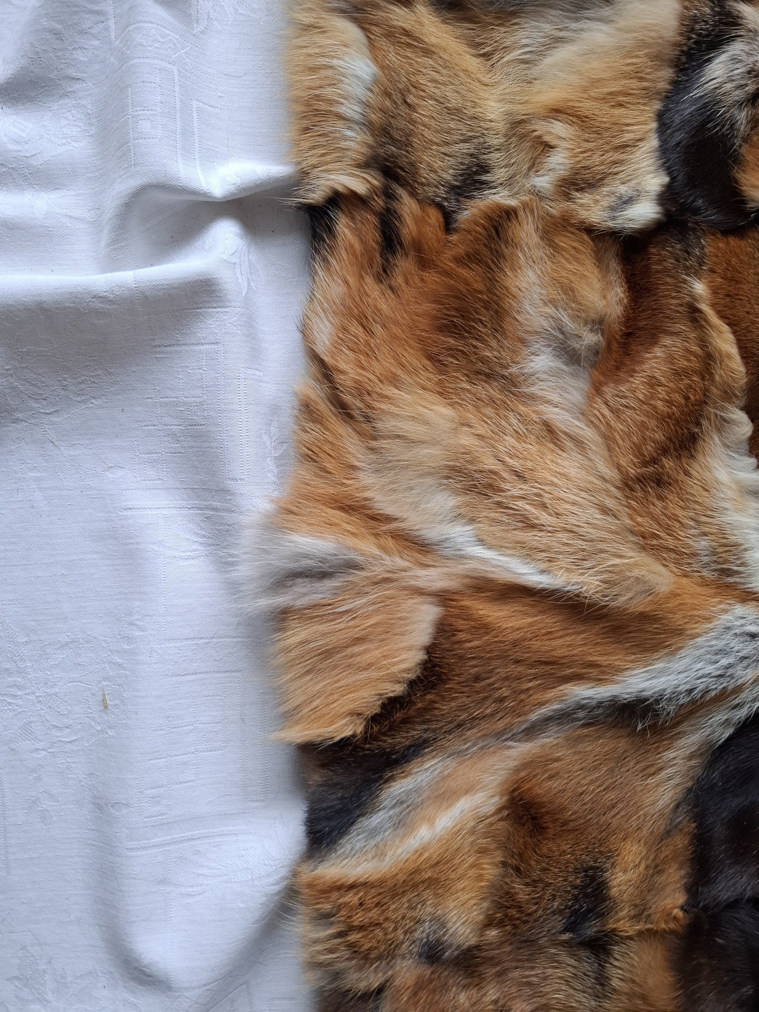 Eingereichtes Pelzstück – Beispiel 47.5 Bild 8