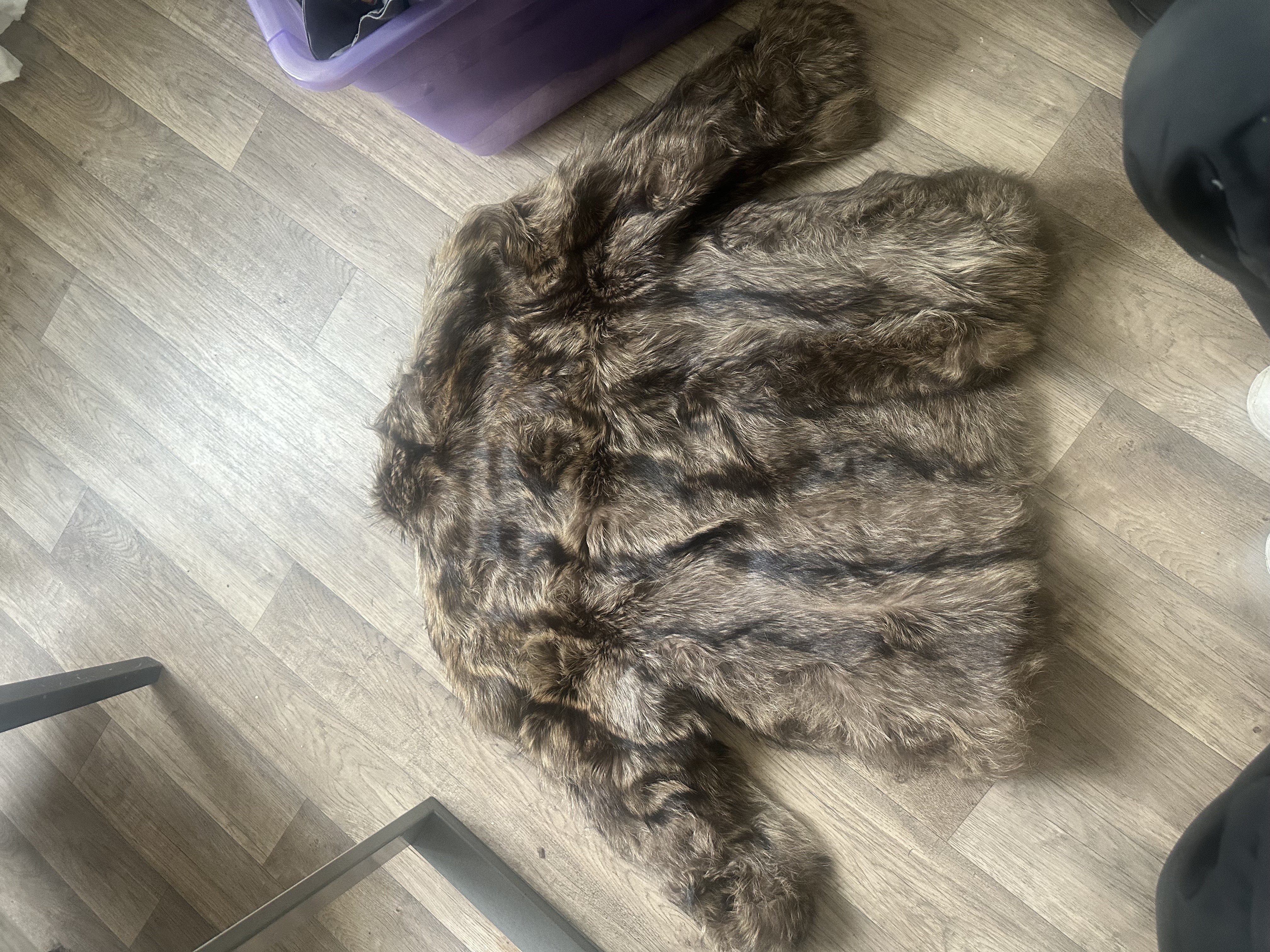 Eingereichtes Pelzstück – Beispiel 79 Bild 7