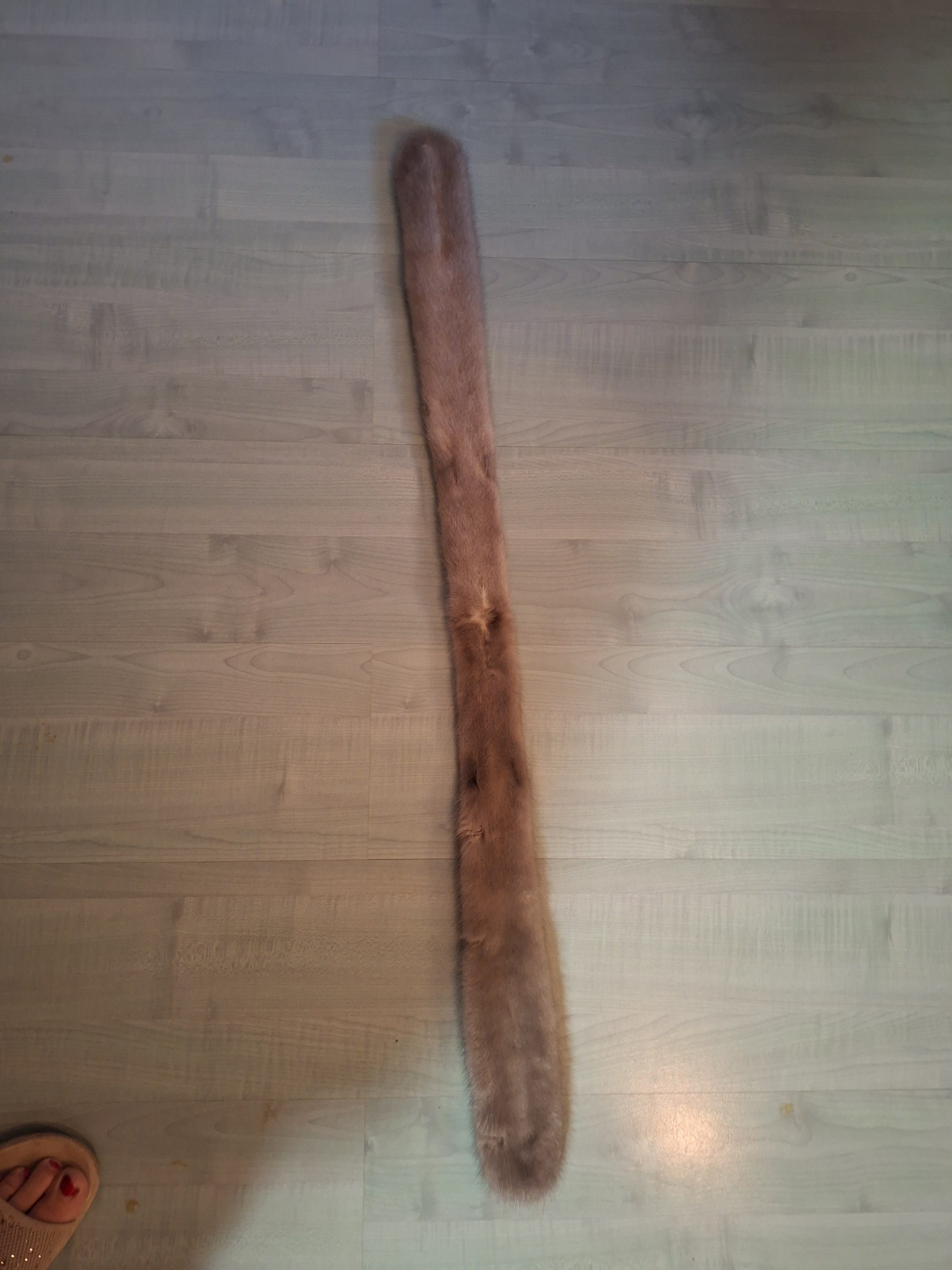 Eingereichtes Pelzstück – Beispiel 117.1 Bild 1