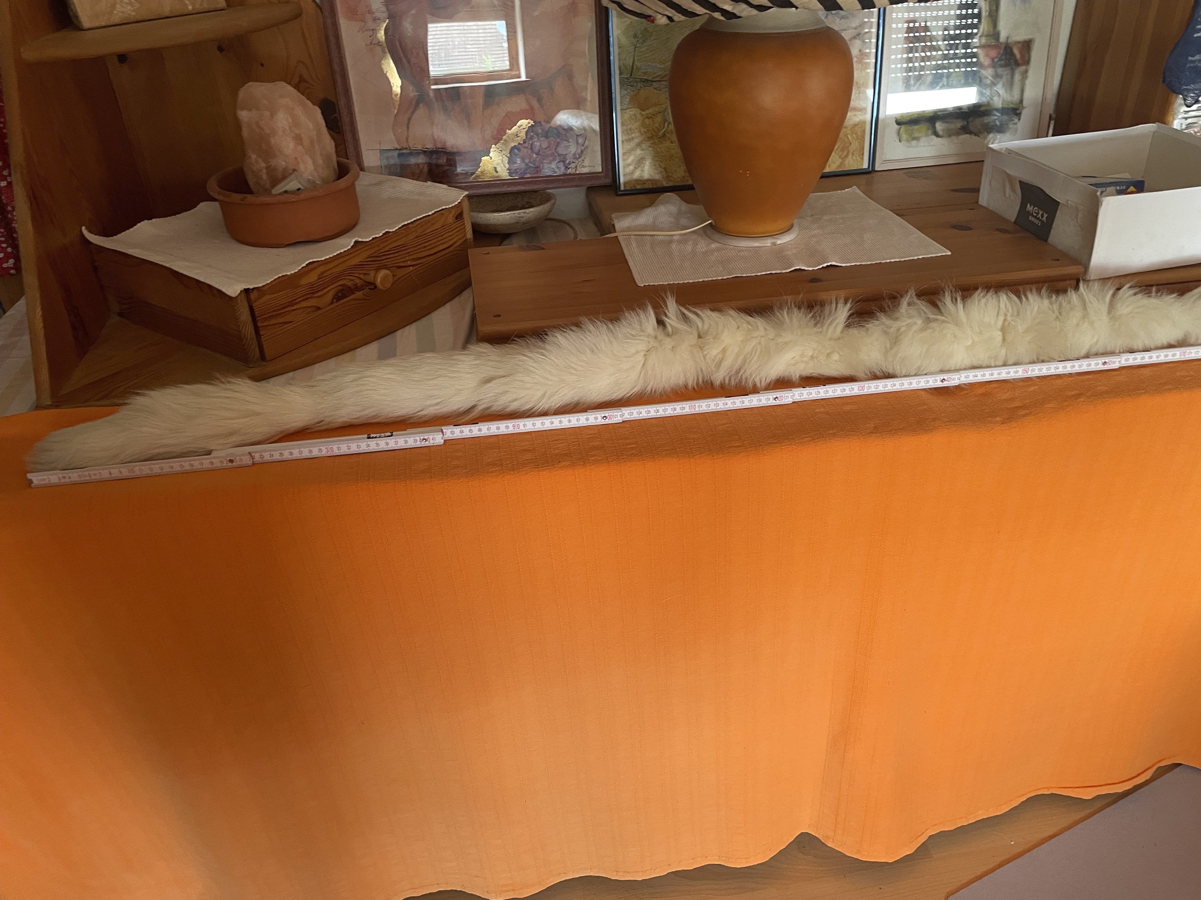 Eingereichtes Pelzstück – Beispiel 163 Bild 4