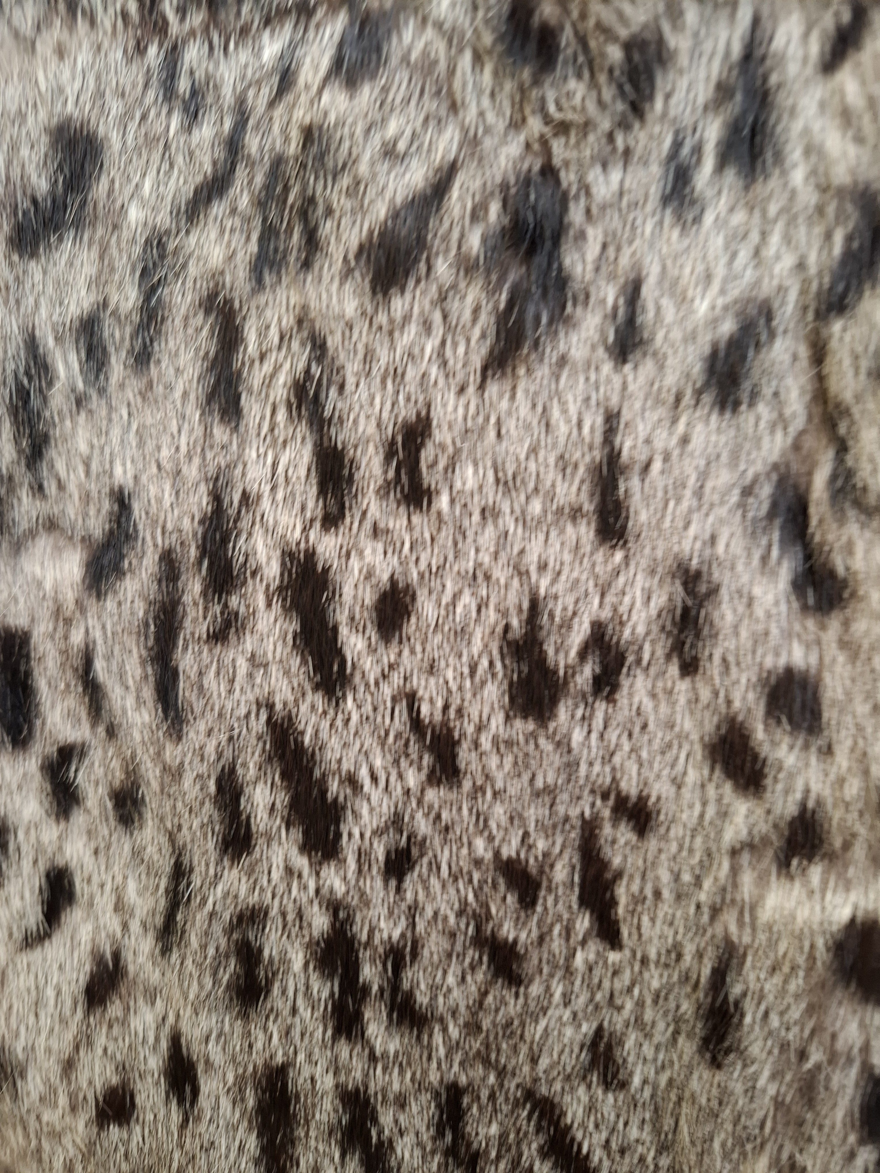 Eingereichtes Pelzstück – Beispiel 47.9 Bild 3