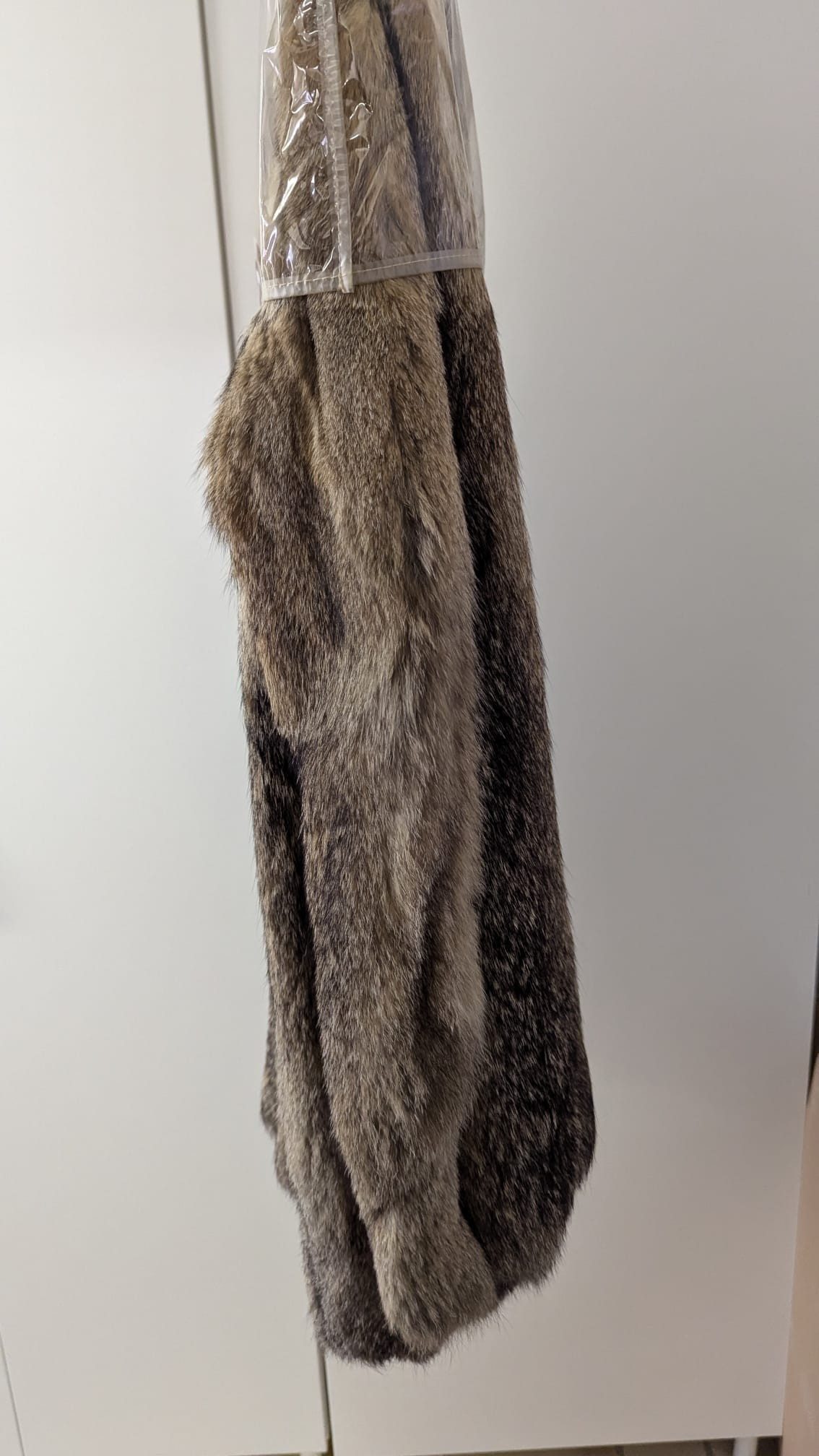 Eingereichtes Pelzstück – Beispiel 49.1 Bild 5