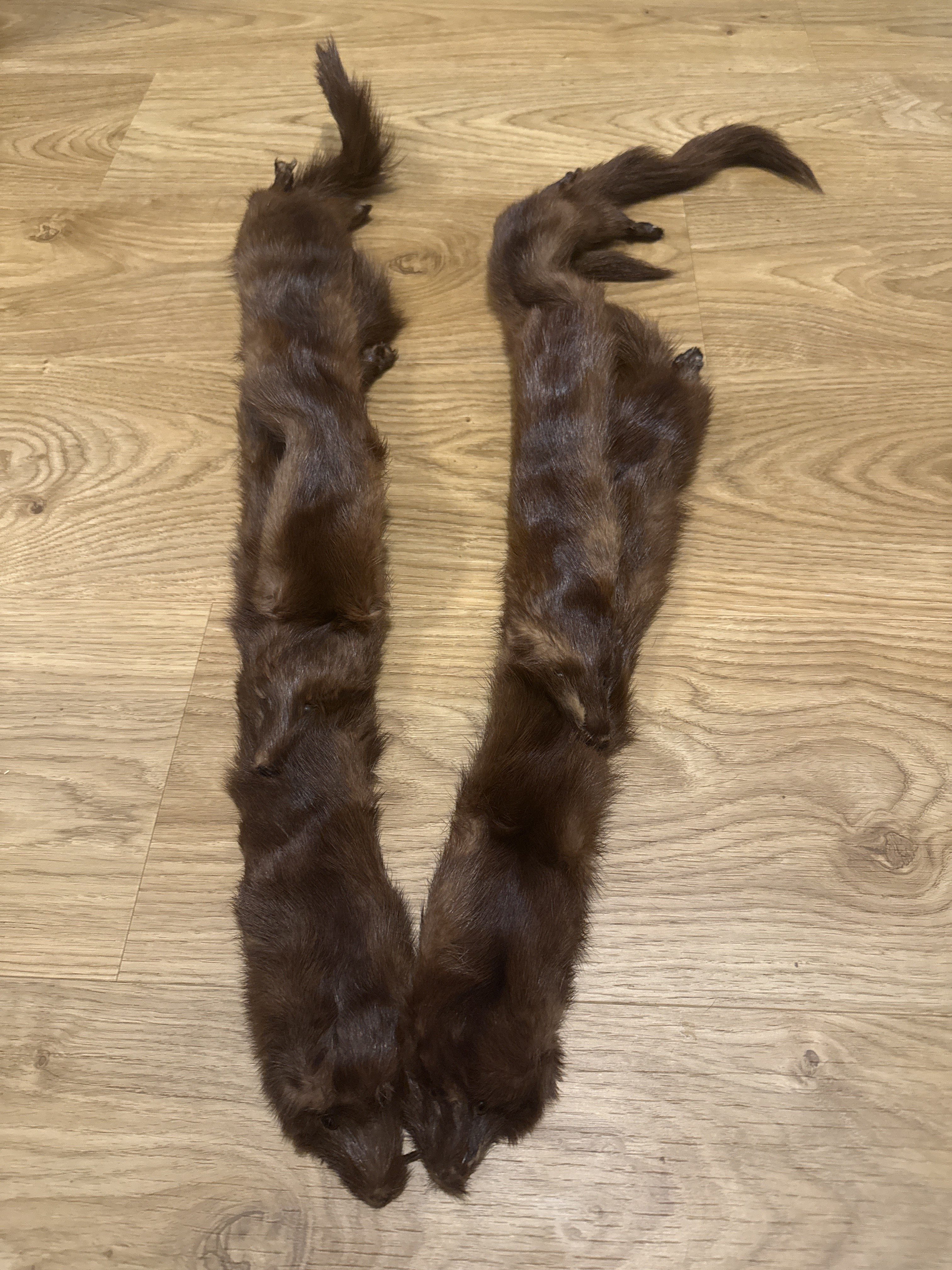 Eingereichtes Pelzstück – Beispiel 40.2 Bild 1