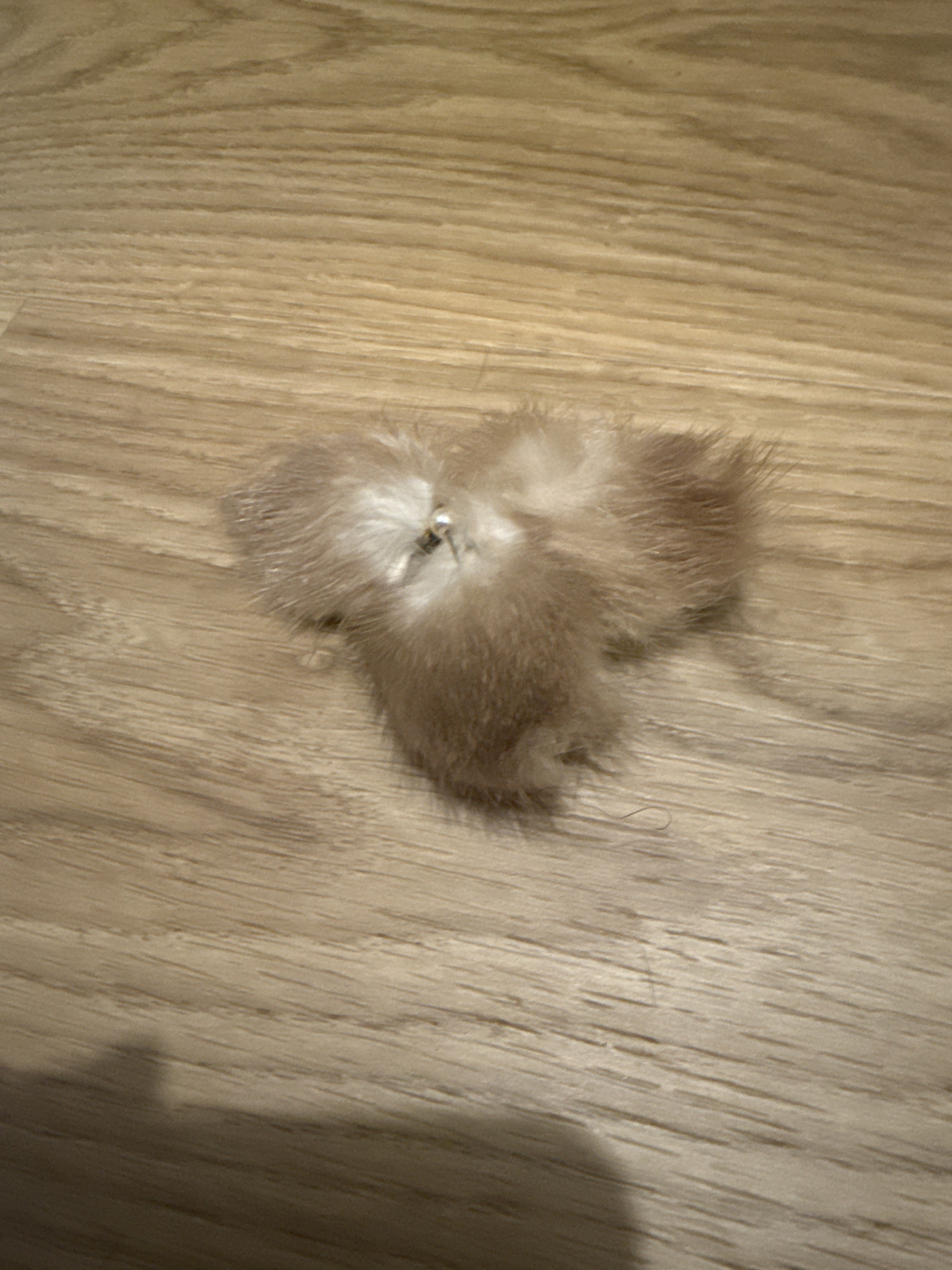 Eingereichtes Pelzstück – Beispiel 40.4 Bild 1