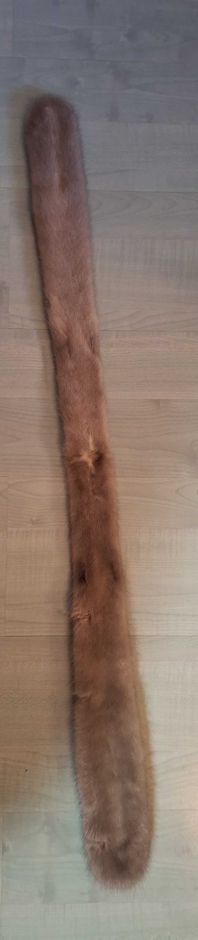 Eingereichtes Pelzstück – Beispiel 116.3 Bild 4