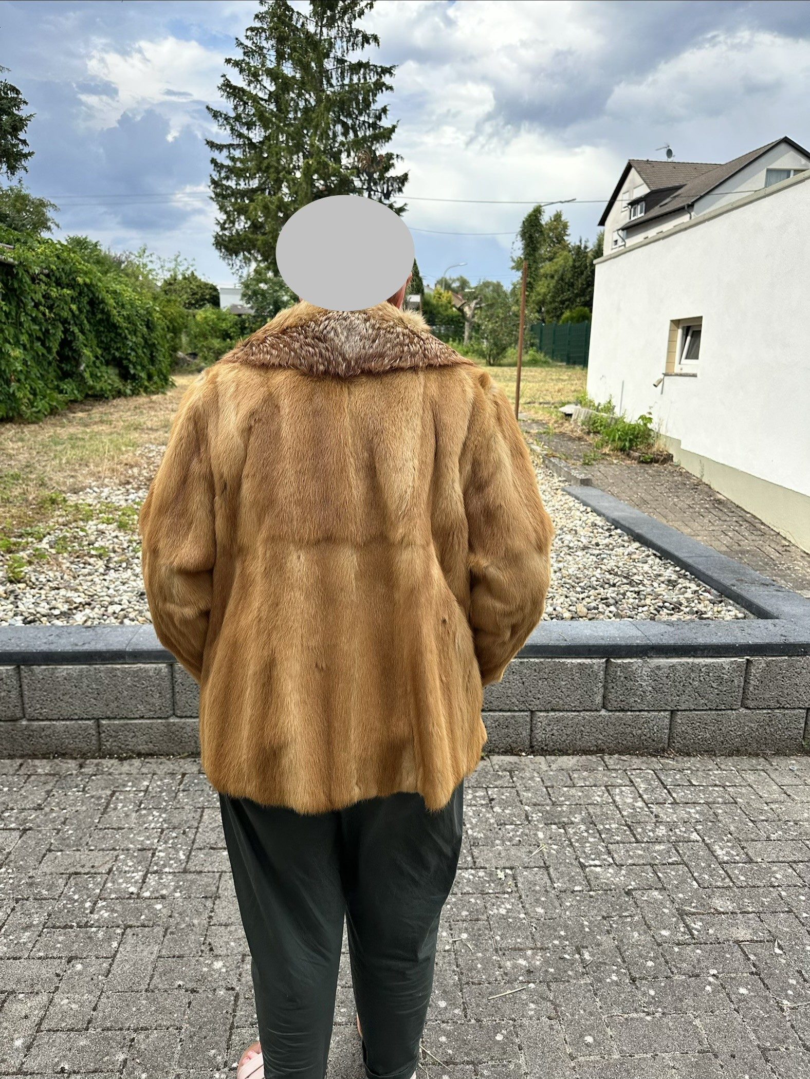 Eingereichtes Pelzstück – Beispiel 134.6 Bild 2
