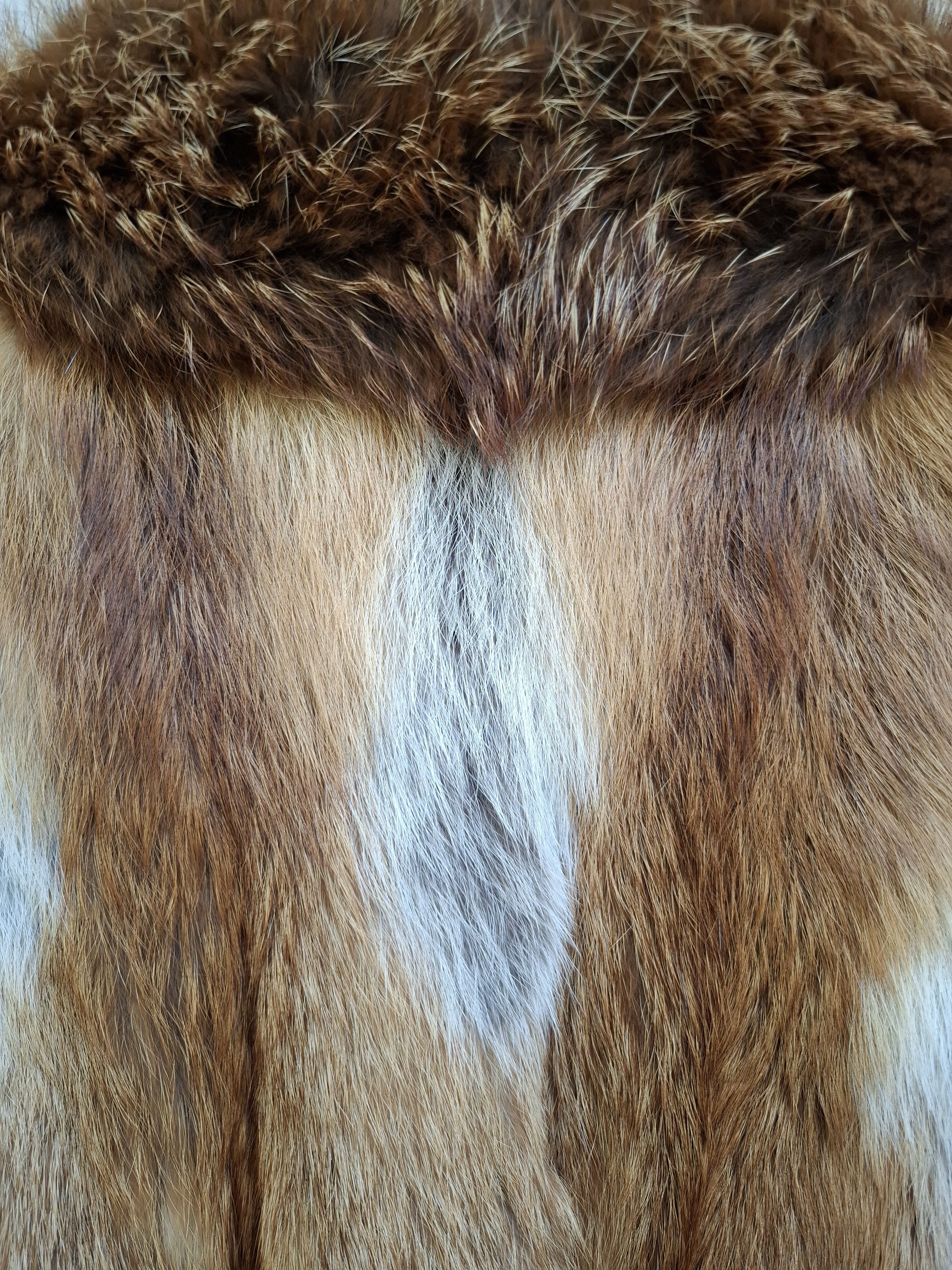 Eingereichtes Pelzstück – Beispiel 47.4 Bild 3