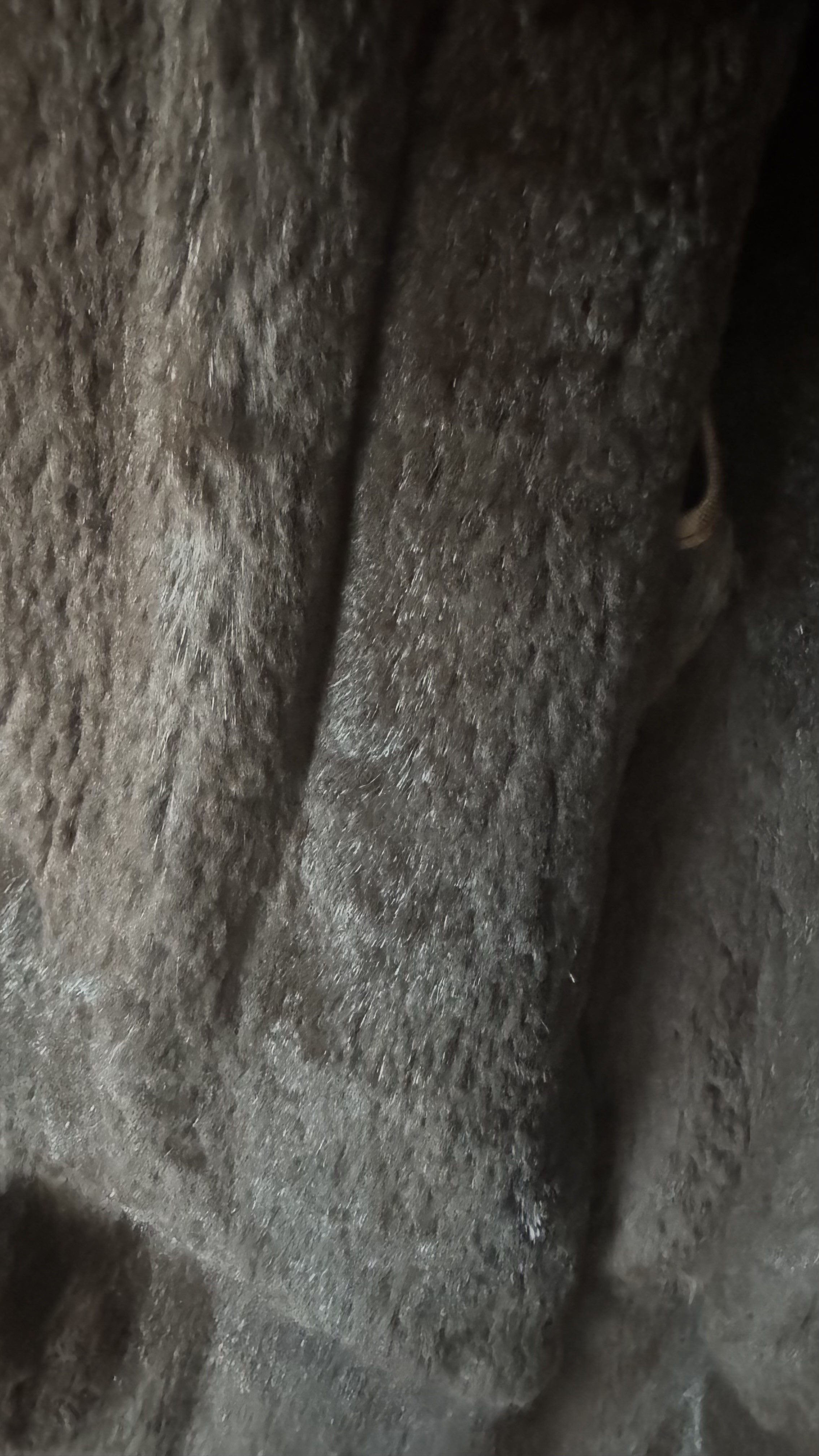 Eingereichtes Pelzstück – Beispiel 214.1 Bild 1