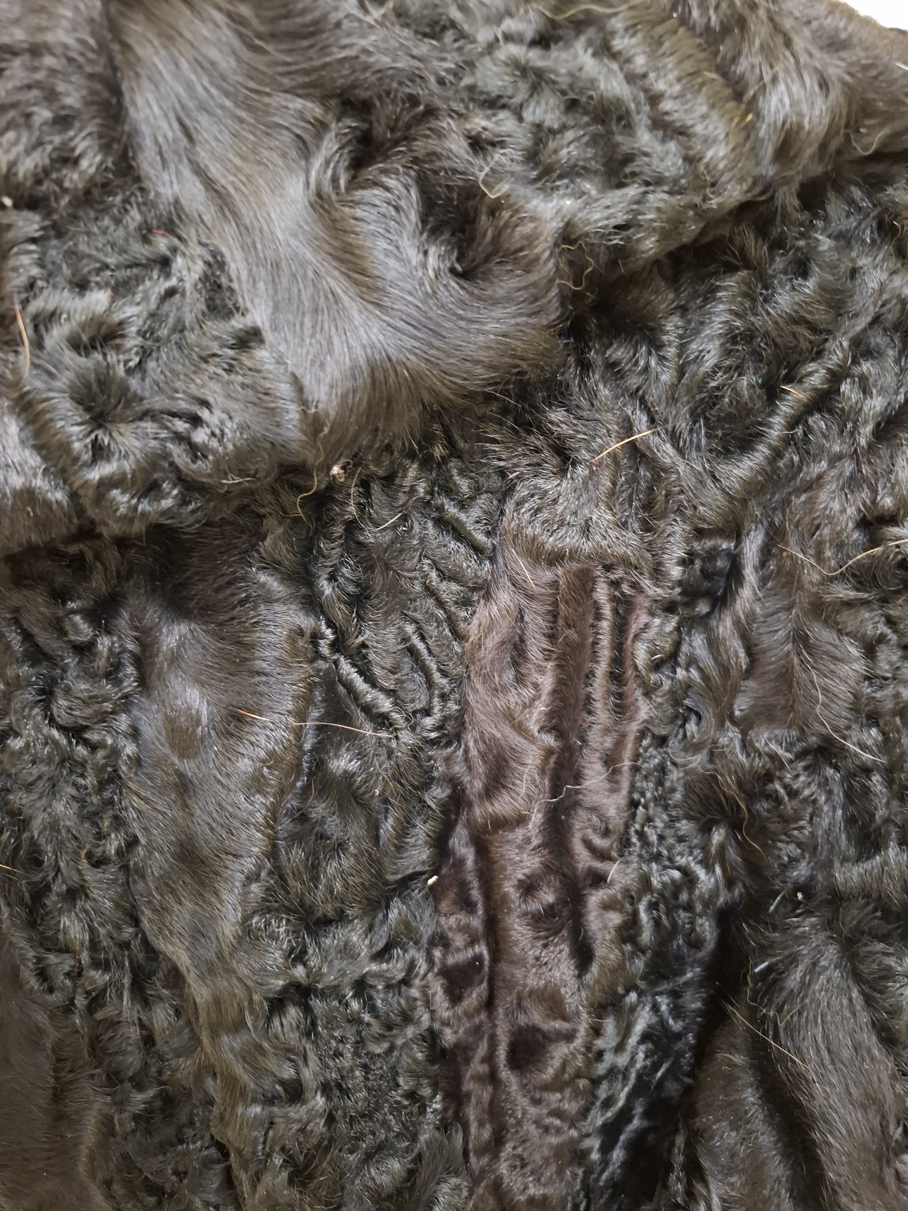 Eingereichtes Pelzstück – Beispiel 47.3 Bild 3