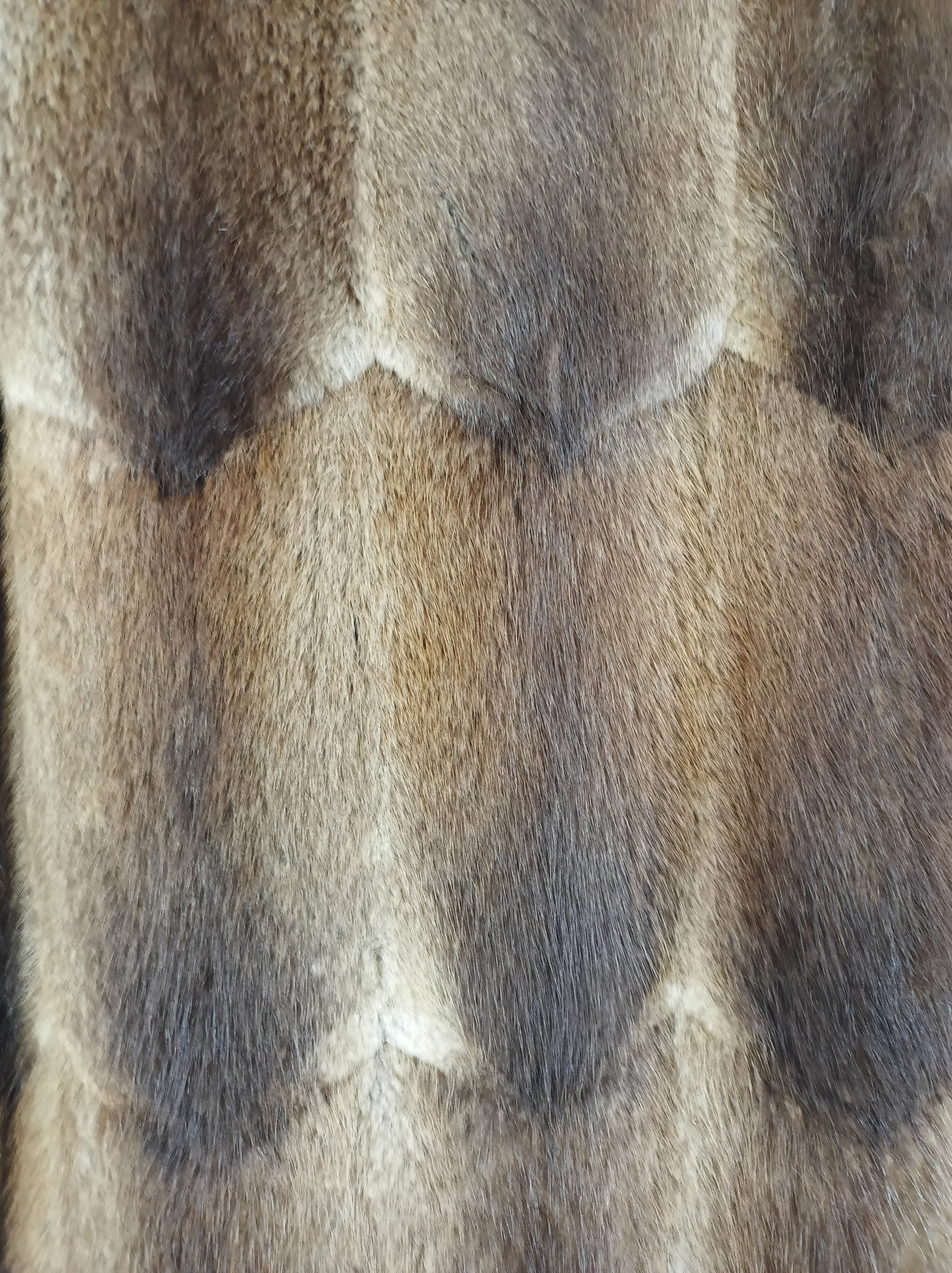 Eingereichtes Pelzstück – Beispiel 135.1 Bild 4