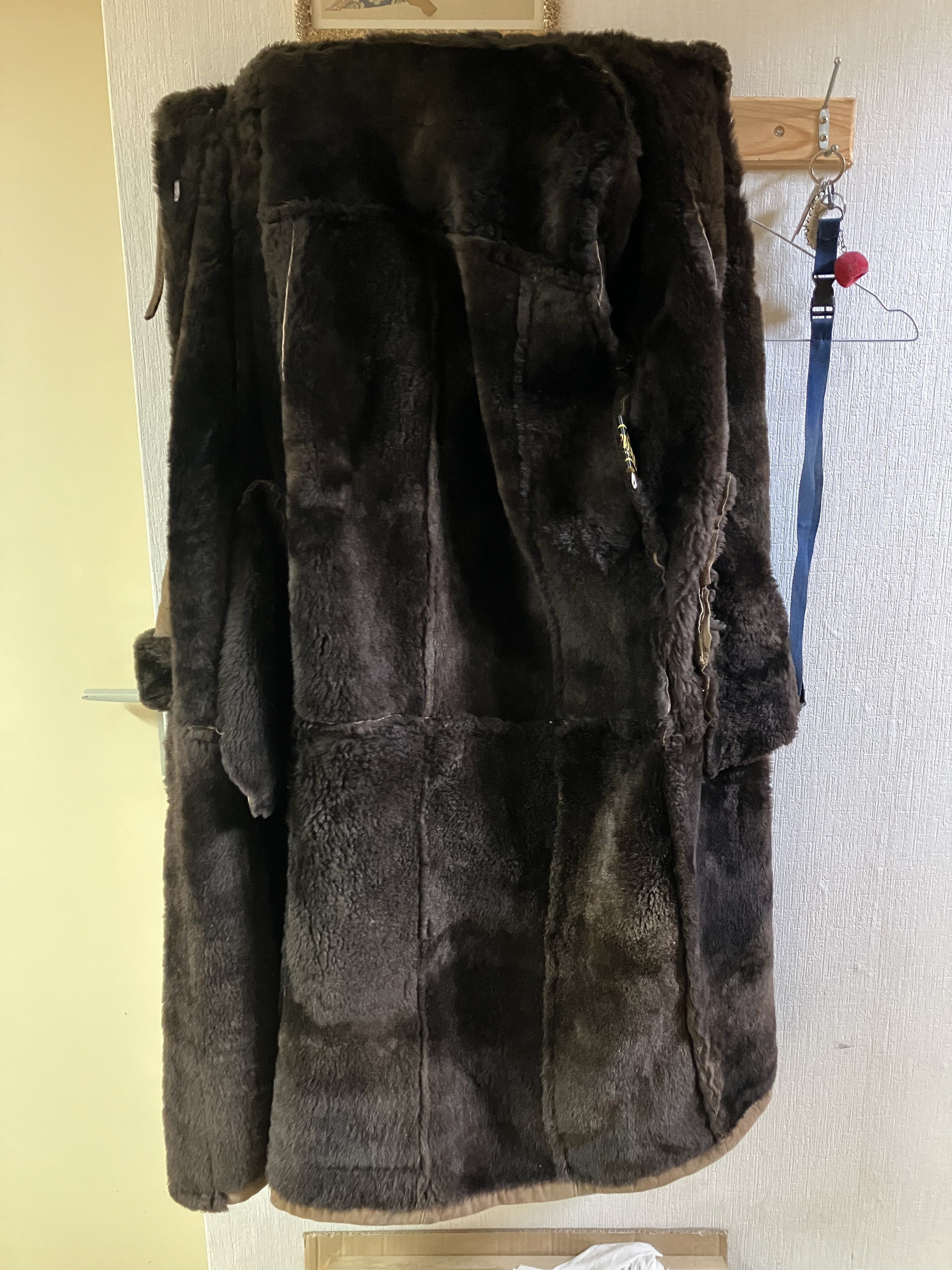 Eingereichtes Pelzstück – Beispiel 260 Bild 6