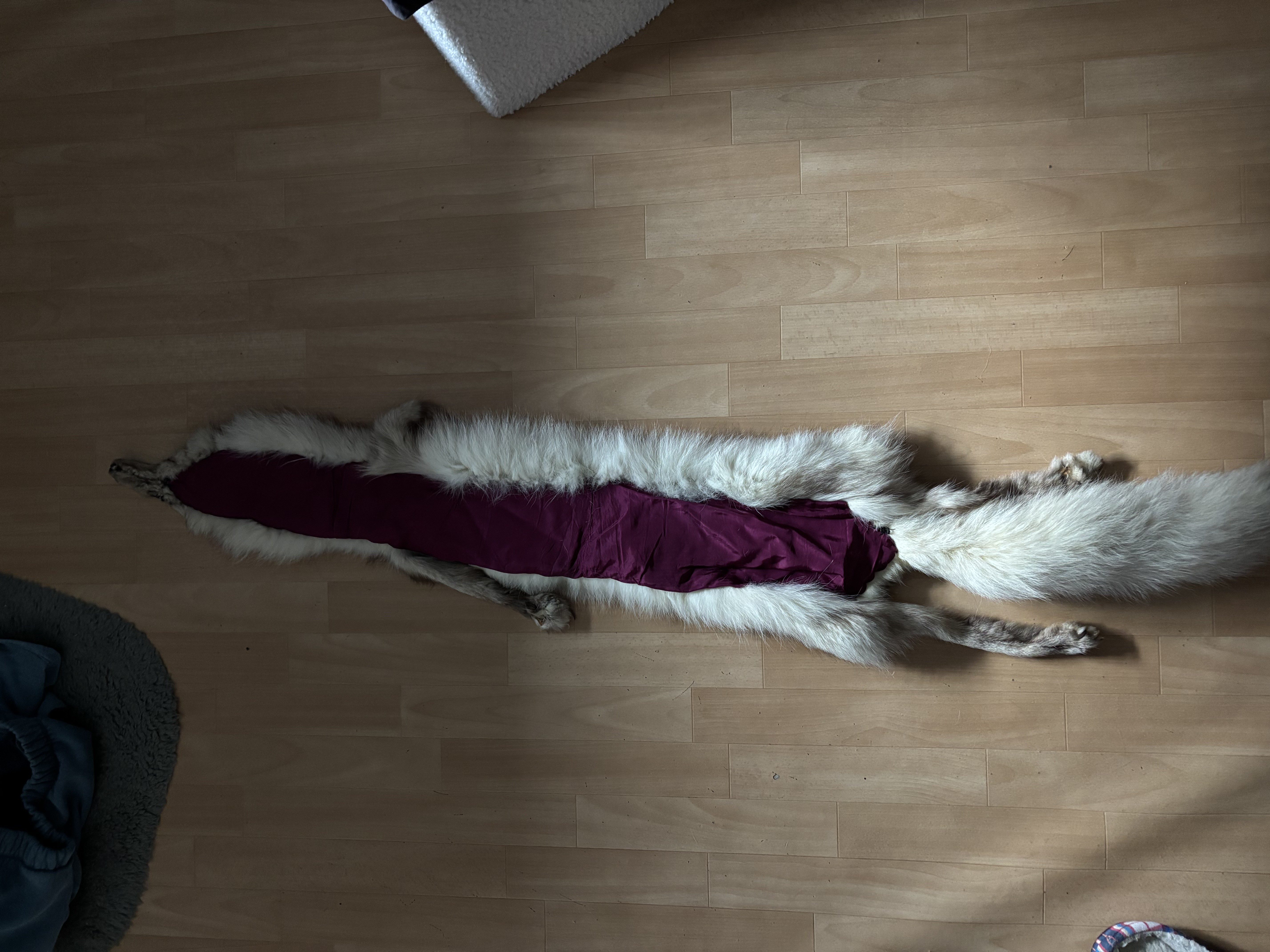 Eingereichtes Pelzstück – Beispiel 171 Bild 7