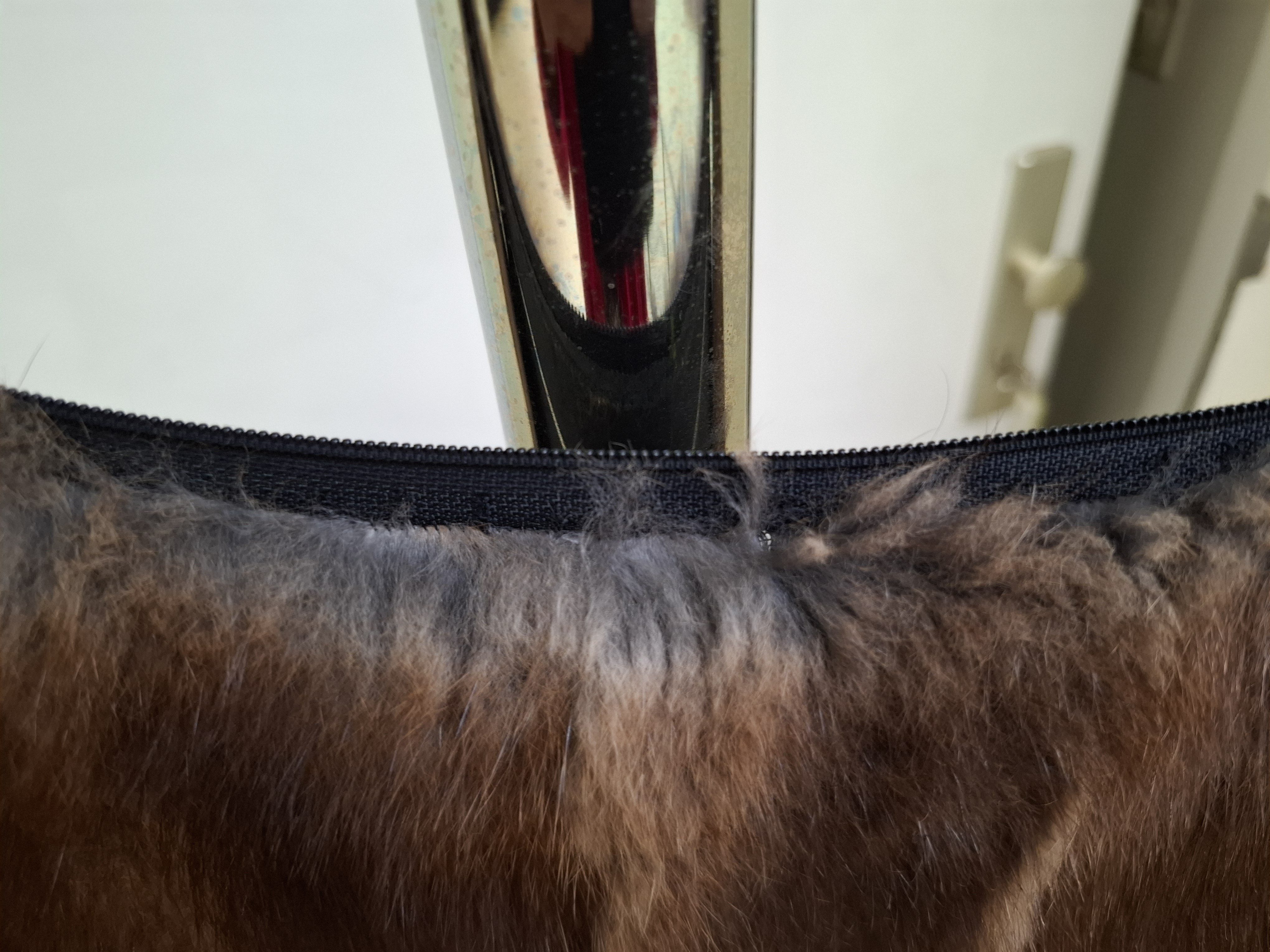 Eingereichtes Pelzstück – Beispiel 47.8 Bild 3