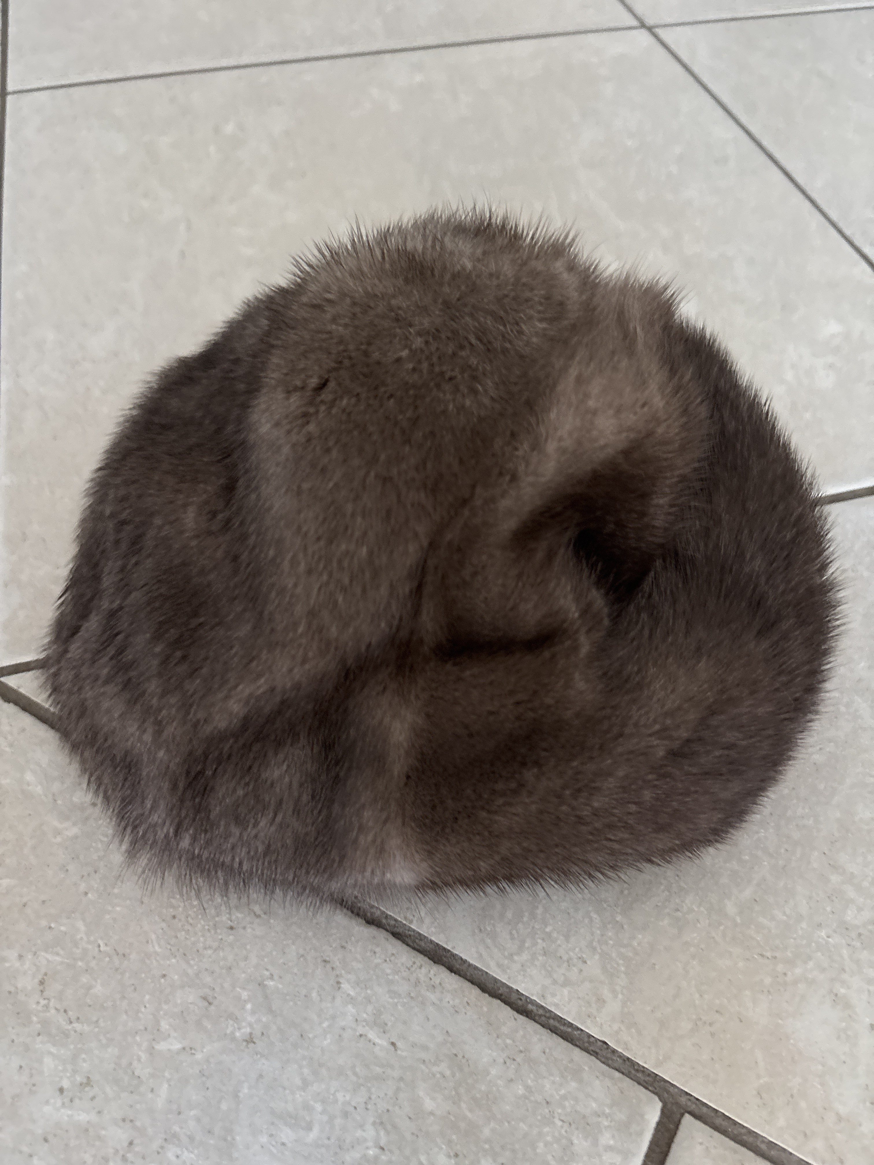 Eingereichtes Pelzstück – Beispiel 119.4 Bild 1