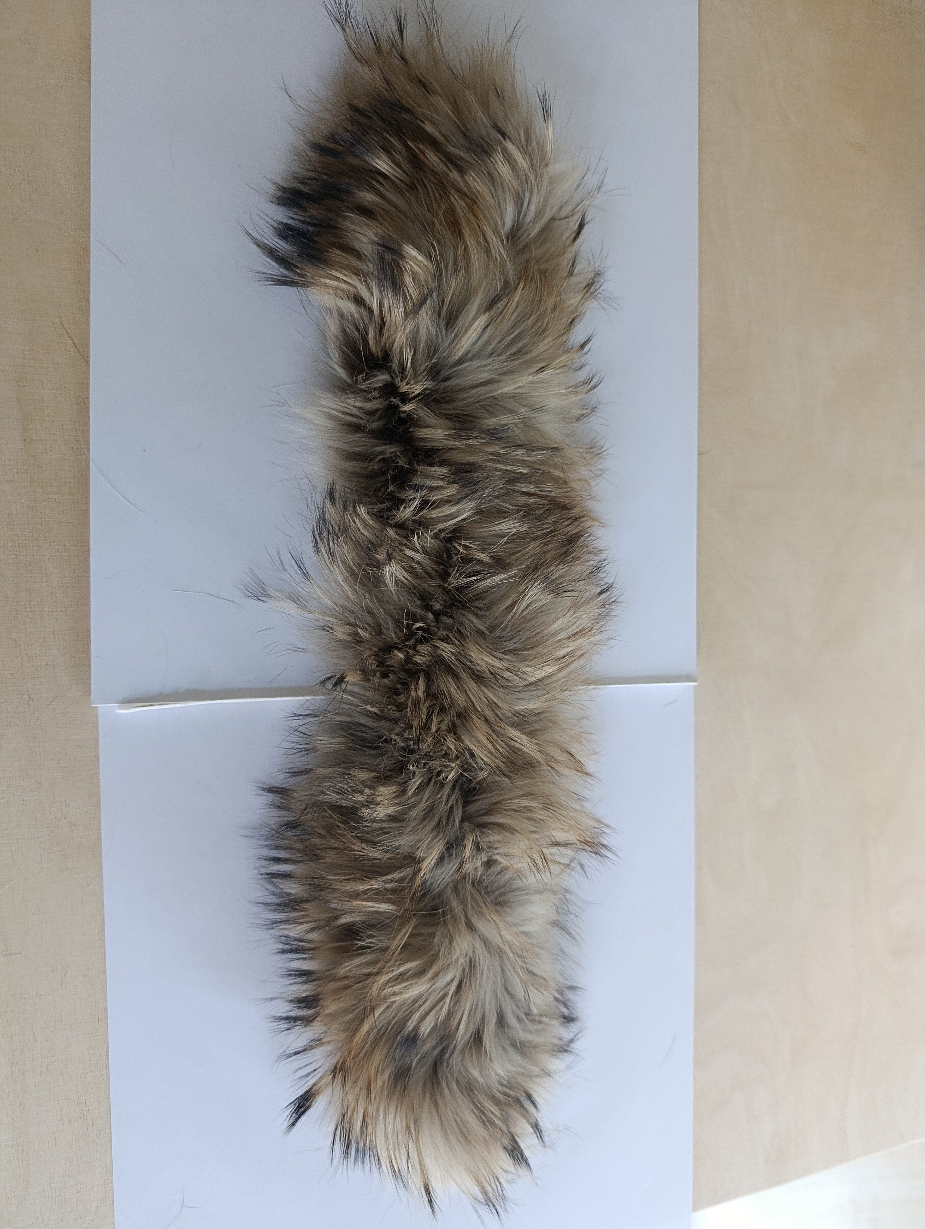 Eingereichtes Pelzstück – Beispiel 169.2 Bild 2