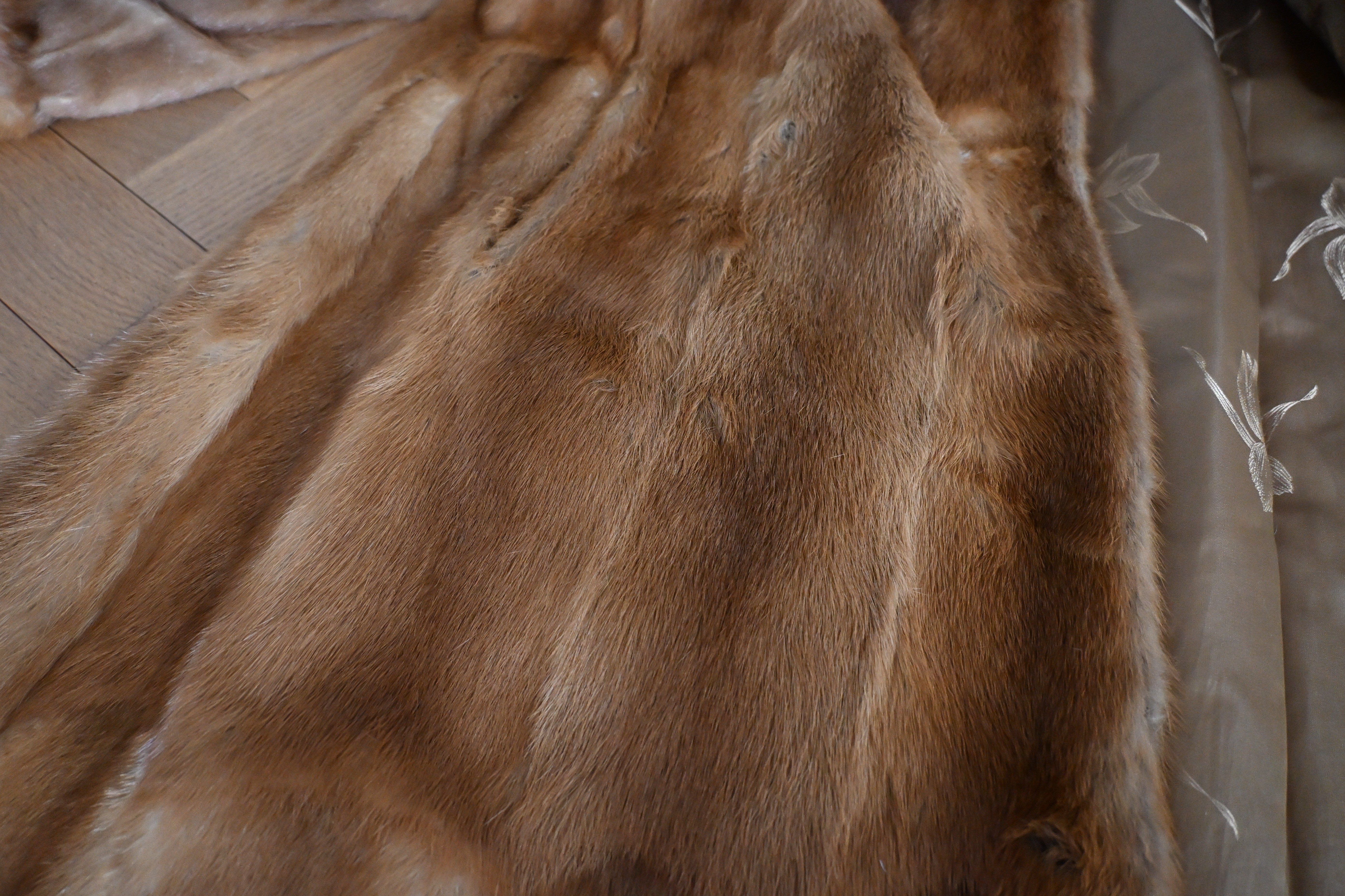 Eingereichtes Pelzstück – Beispiel 52.3 Bild 1