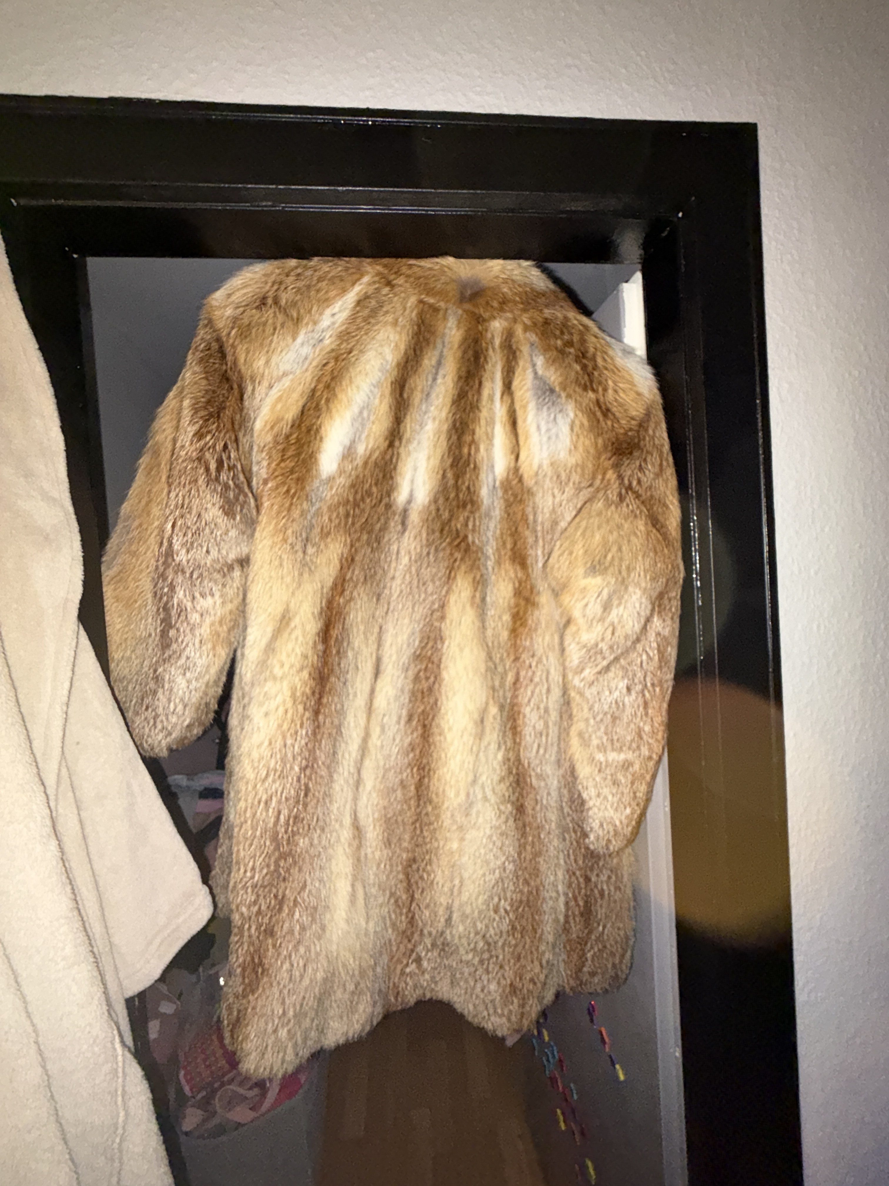 Eingereichtes Pelzstück – Beispiel 177 Bild 1