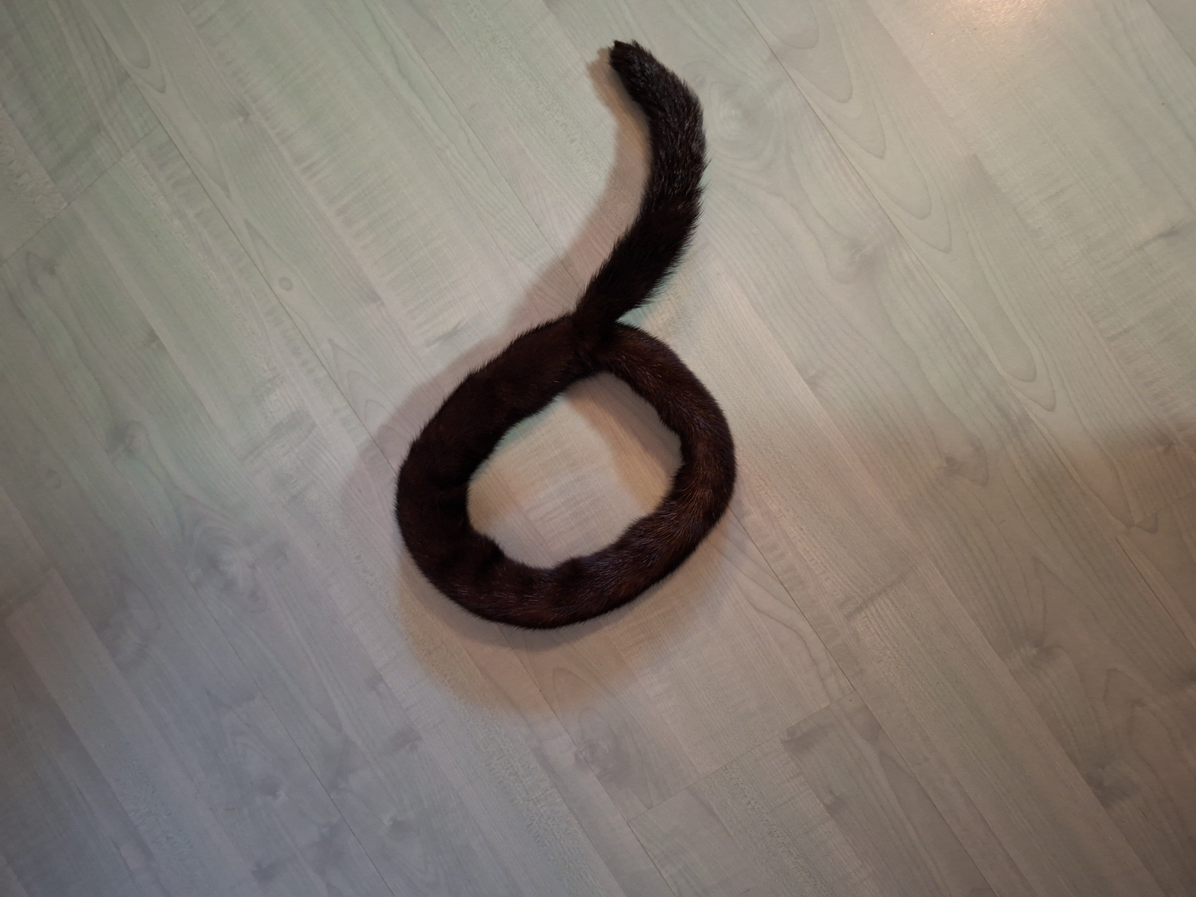 Eingereichtes Pelzstück – Beispiel 117.3 Bild 1