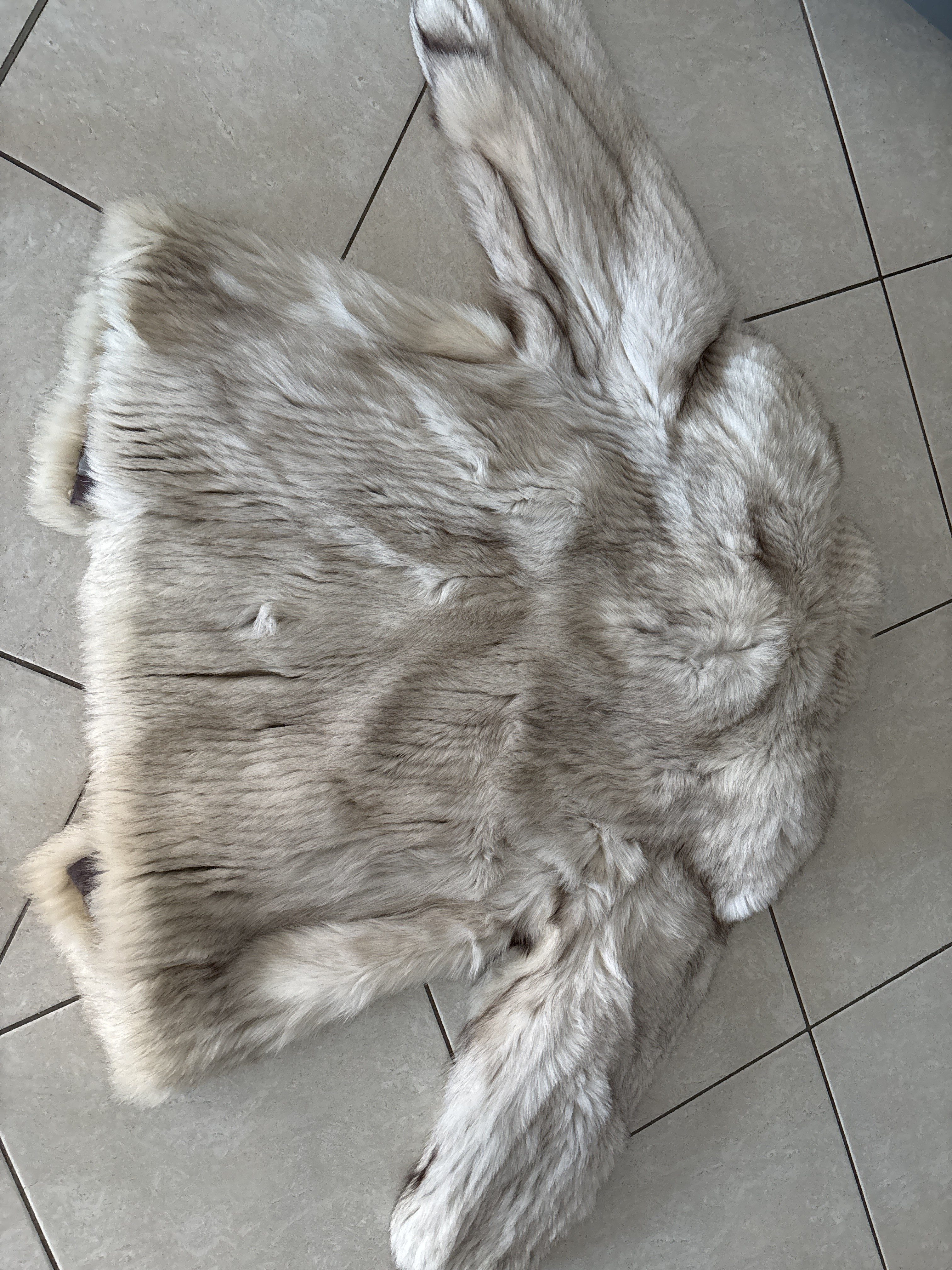Eingereichtes Pelzstück – Beispiel 119.1 Bild 3