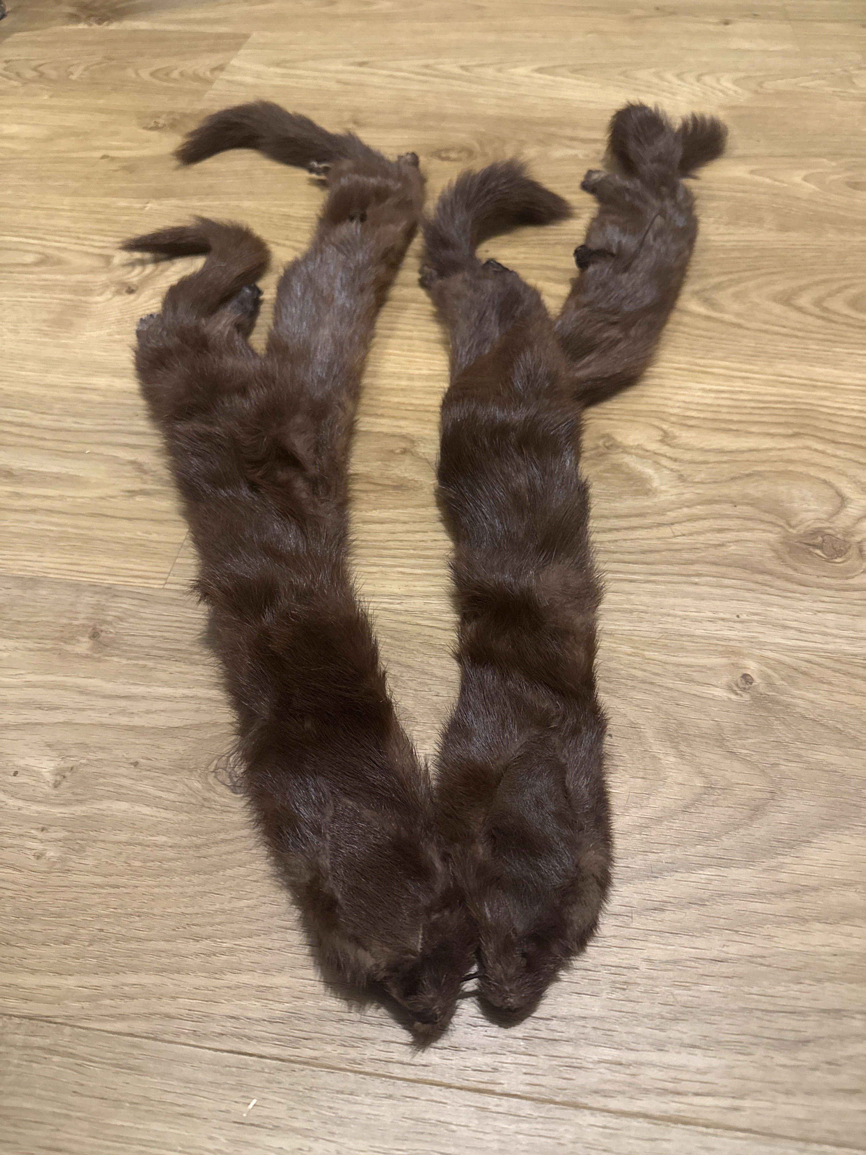 Eingereichtes Pelzstück – Beispiel 40.2 Bild 2