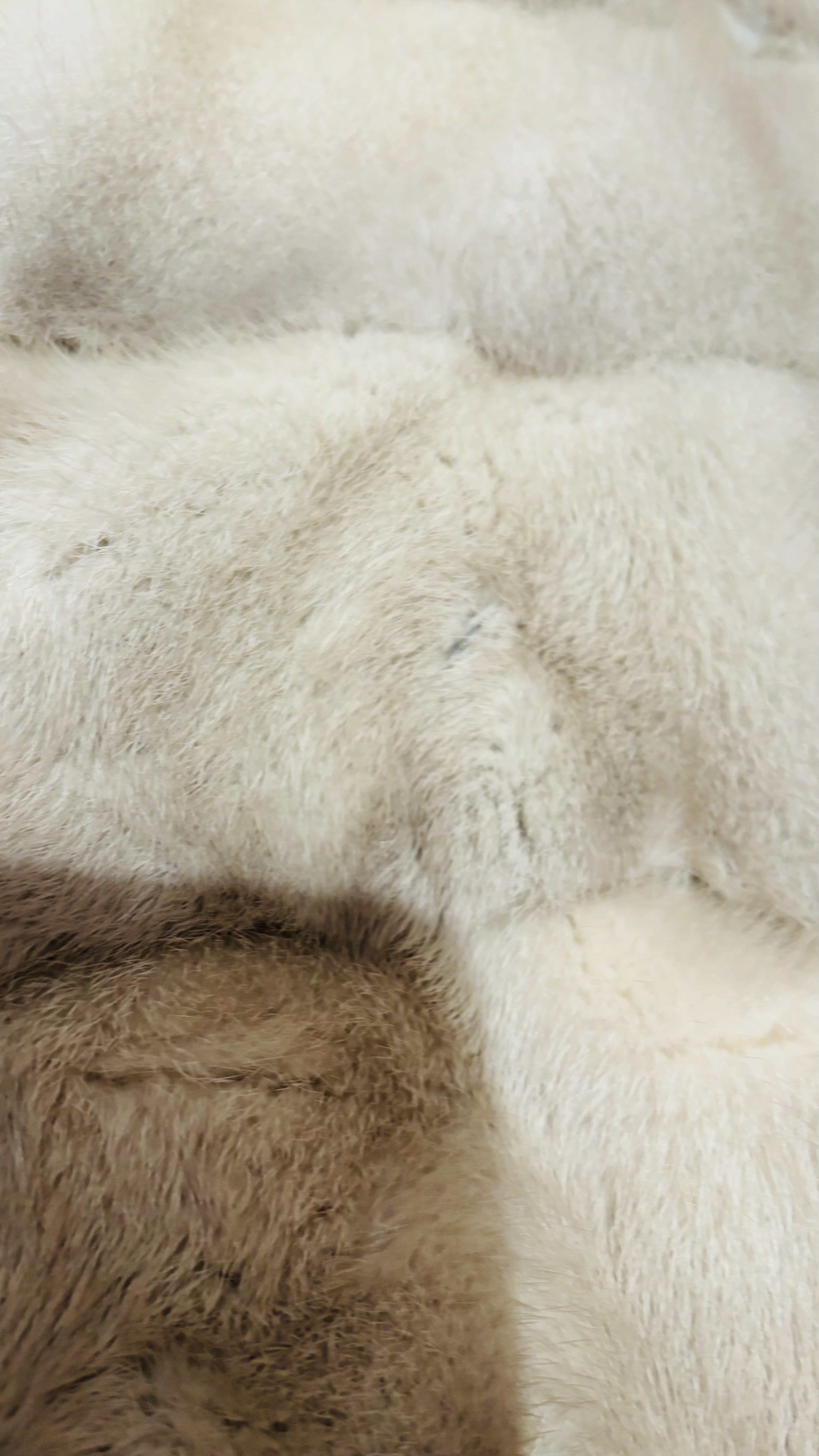 Eingereichtes Pelzstück – Beispiel 23.1 Bild 1