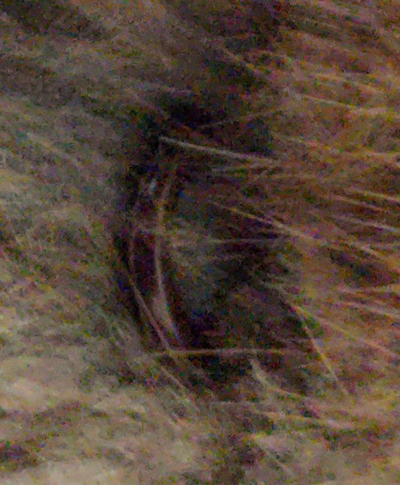Eingereichtes Pelzstück – Beispiel 120 Bild 8