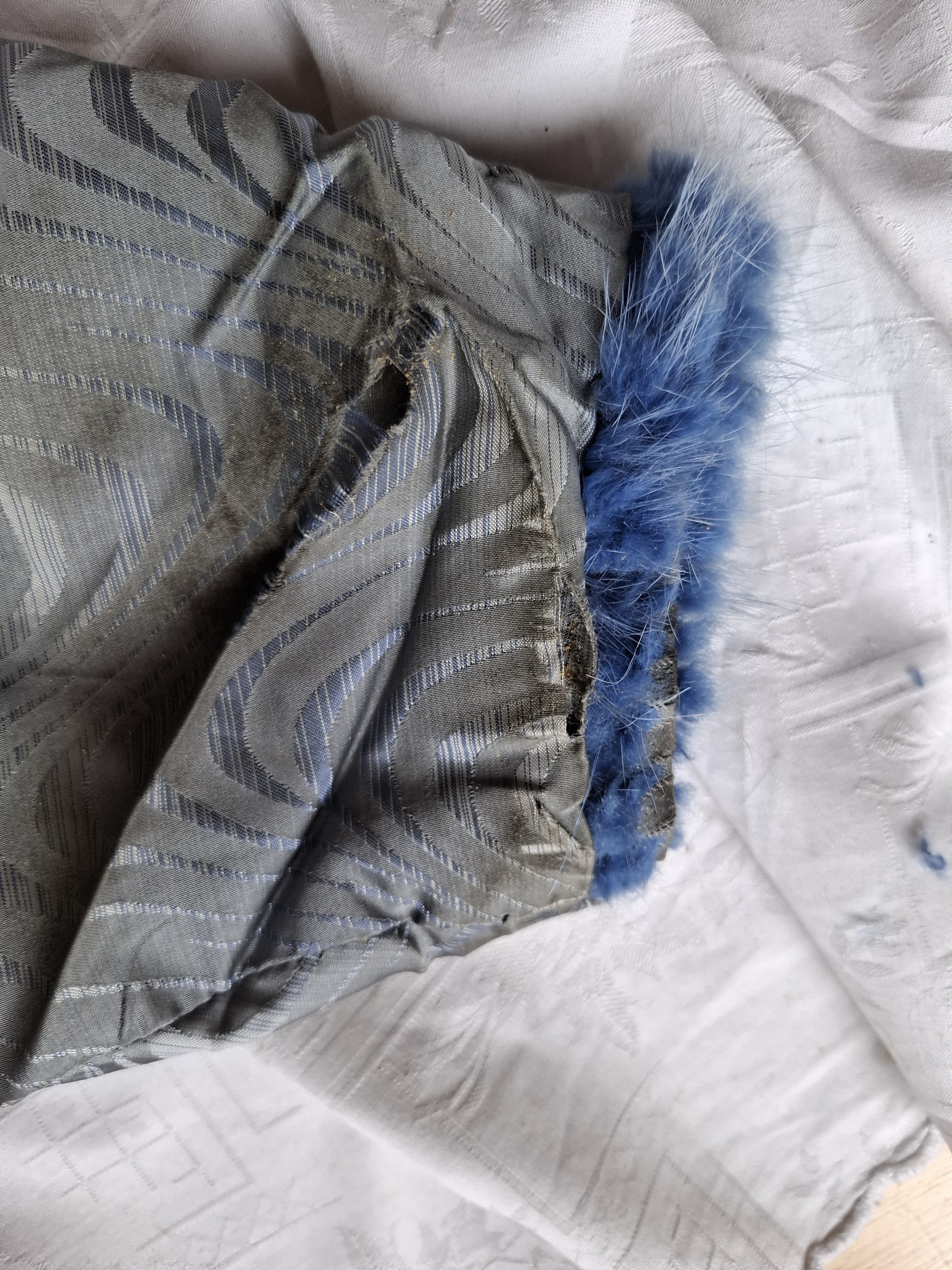 Eingereichtes Pelzstück – Beispiel 47.13 Bild 5