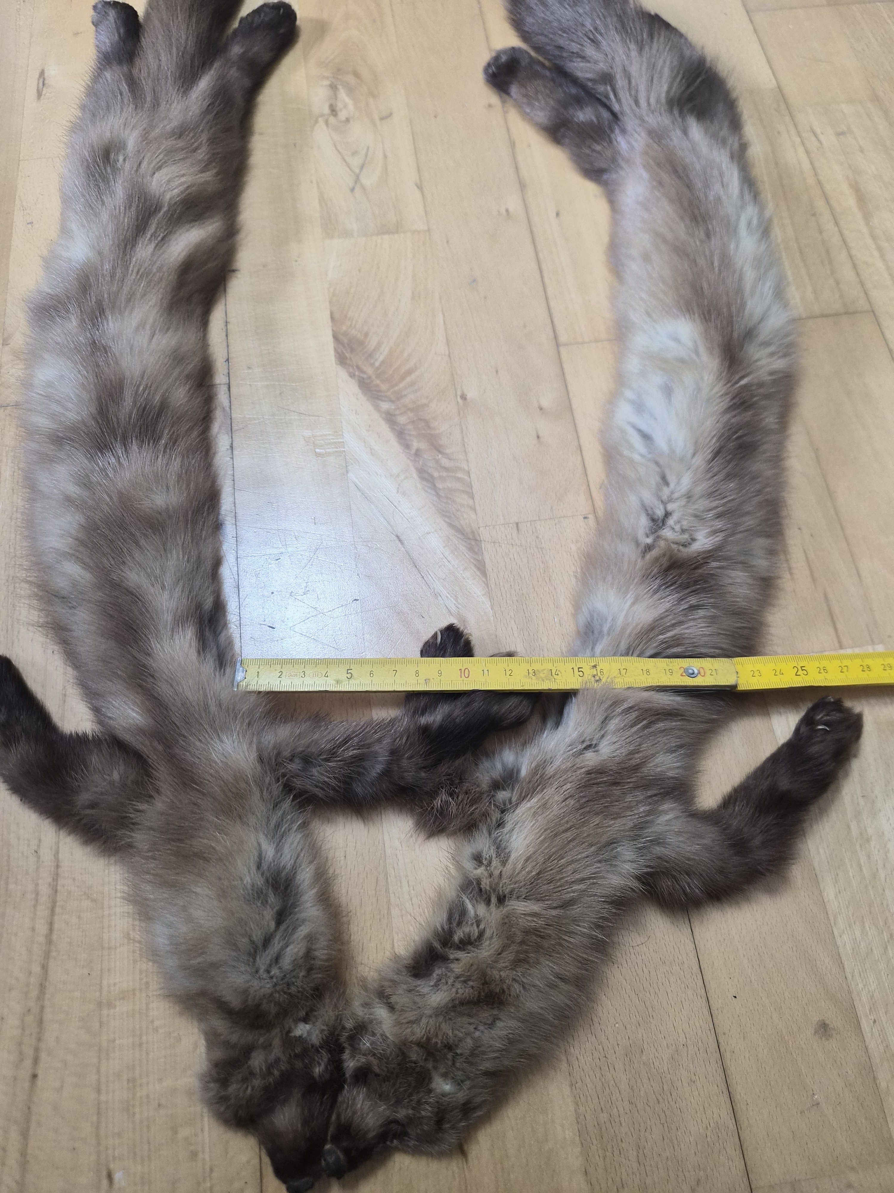 Eingereichtes Pelzstück – Beispiel 160.3 Bild 4