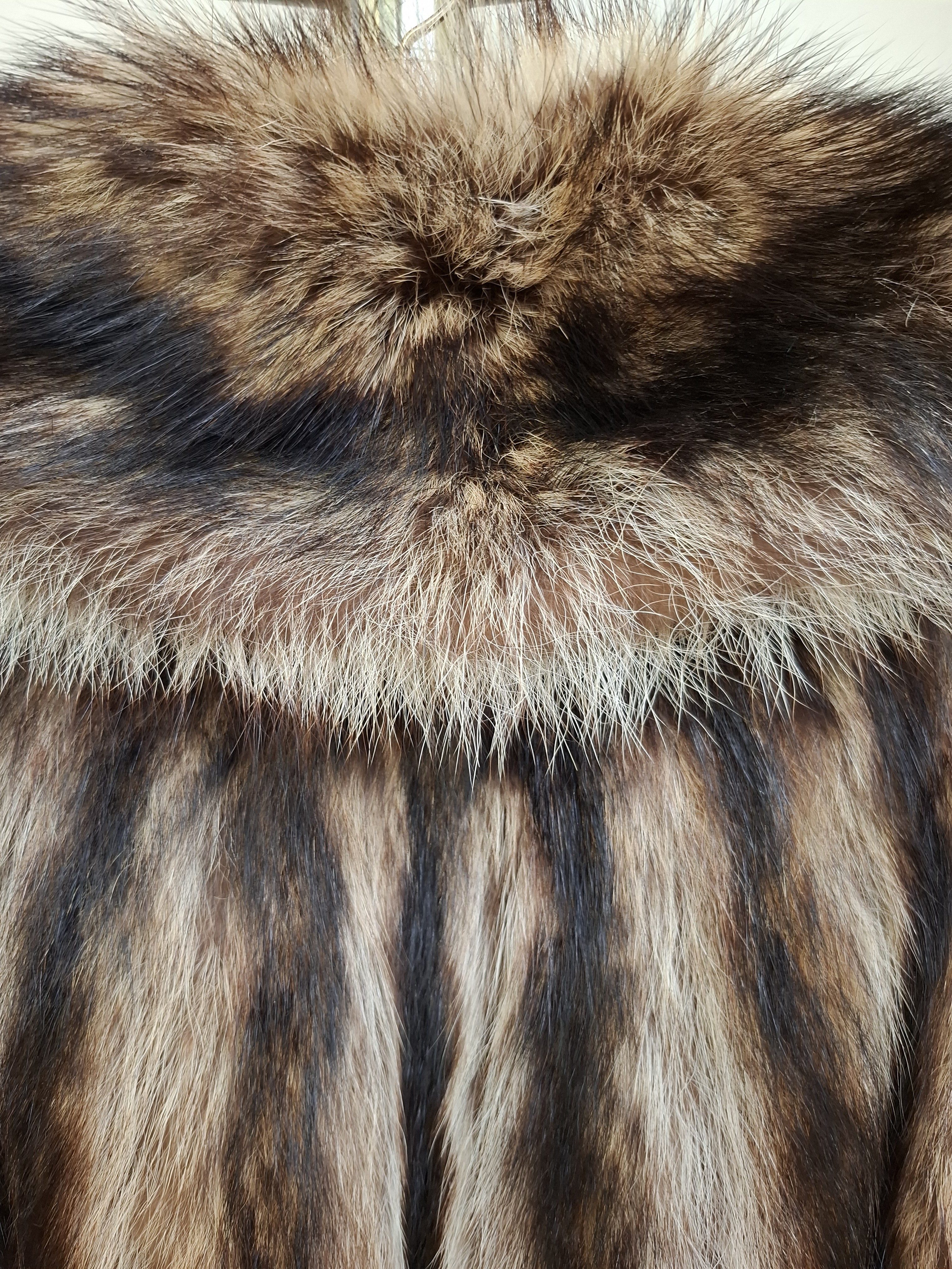 Eingereichtes Pelzstück – Beispiel 47.14 Bild 4