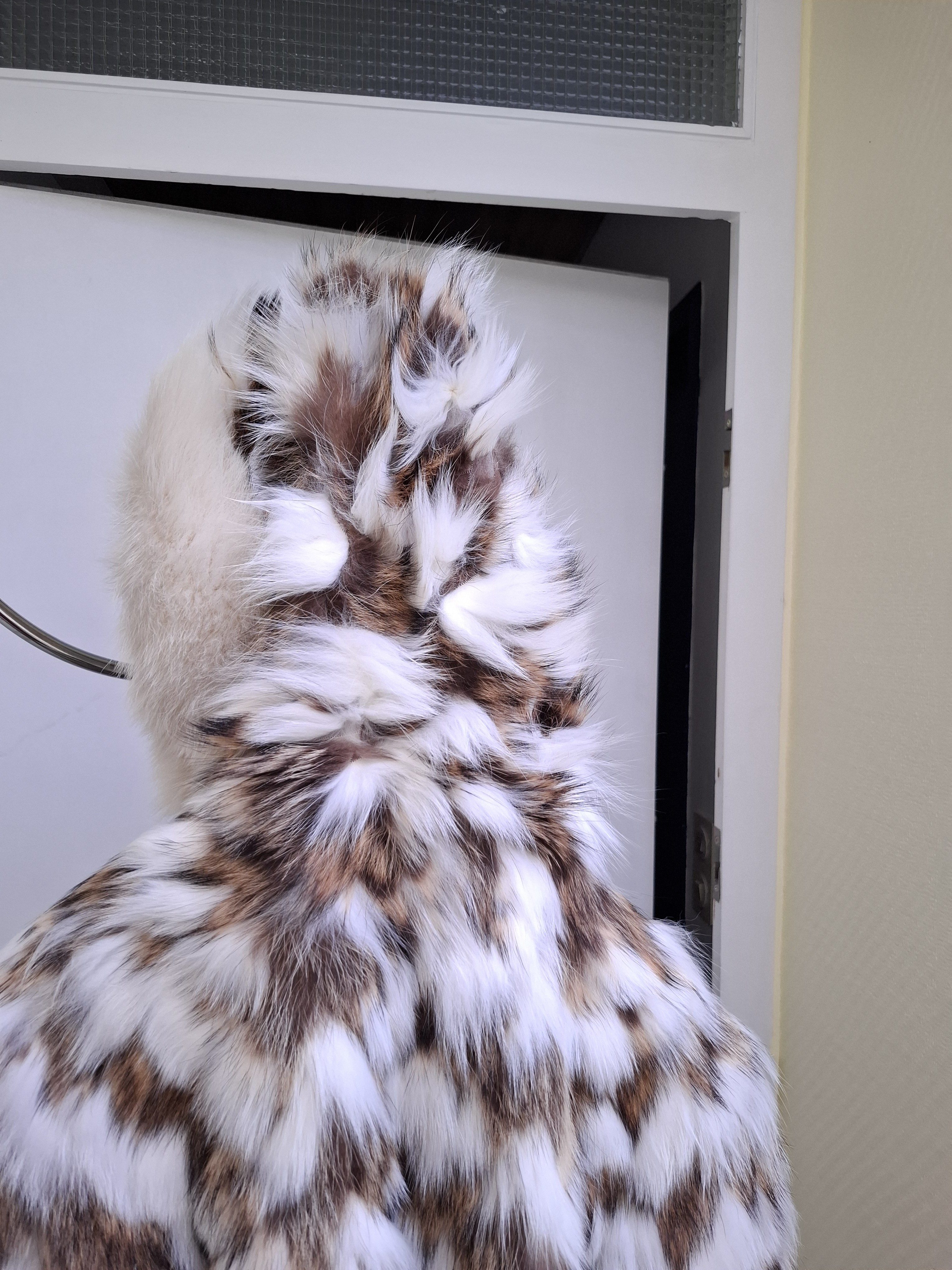 Eingereichtes Pelzstück – Beispiel 47.6 Bild 1